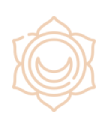 shape
