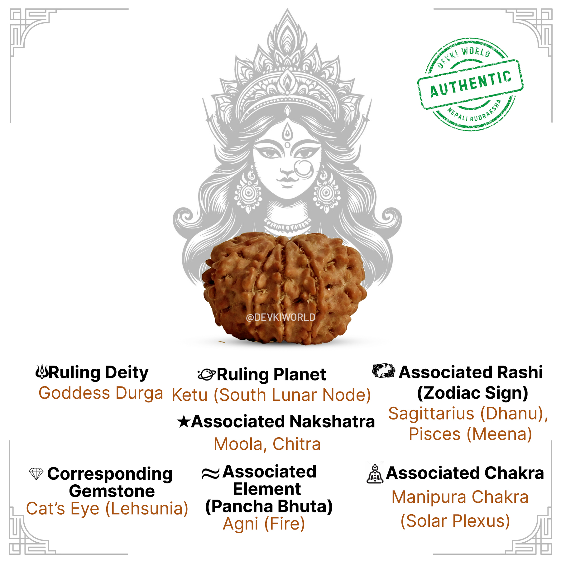 9 Mukhi Rudraksha