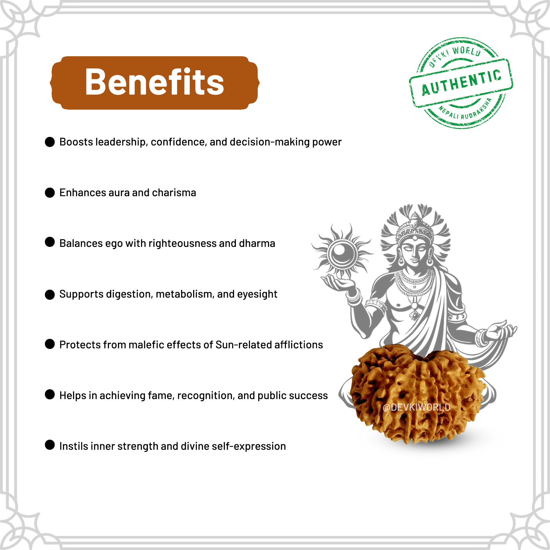 12 Mukhi Rudraksha