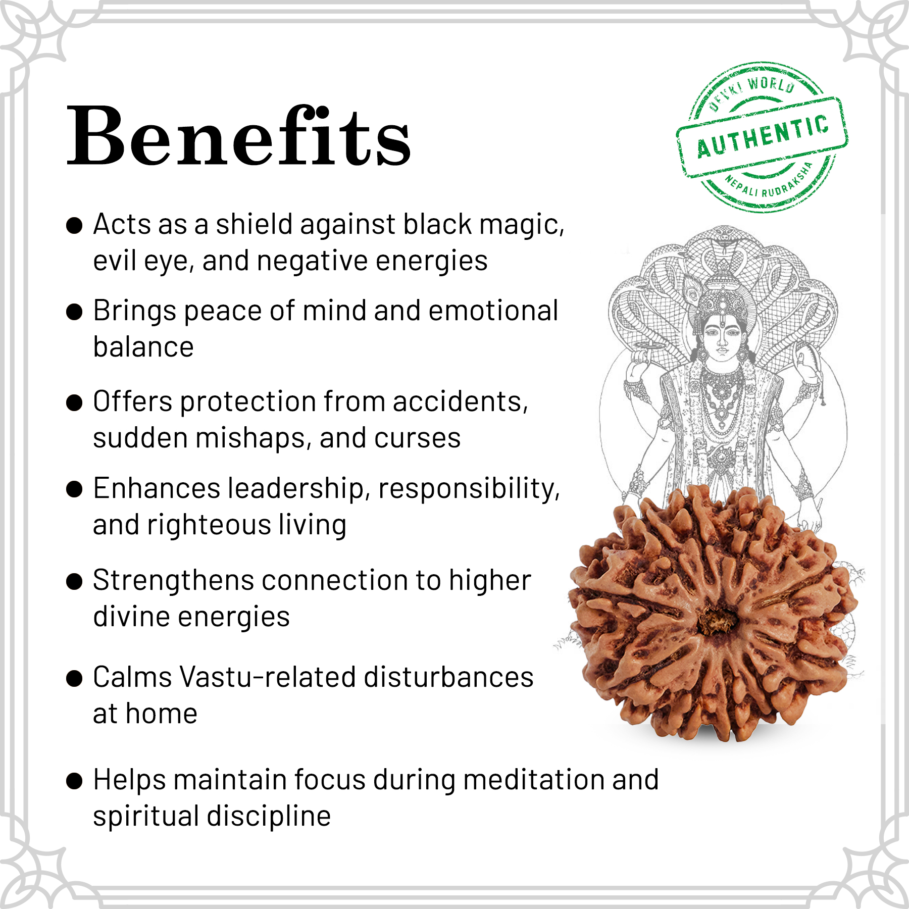 10 Mukhi Rudraksha
