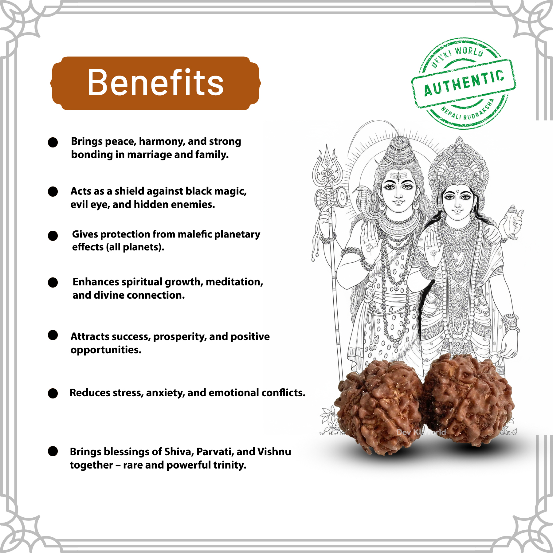 Gauri Shankar Rudraksha