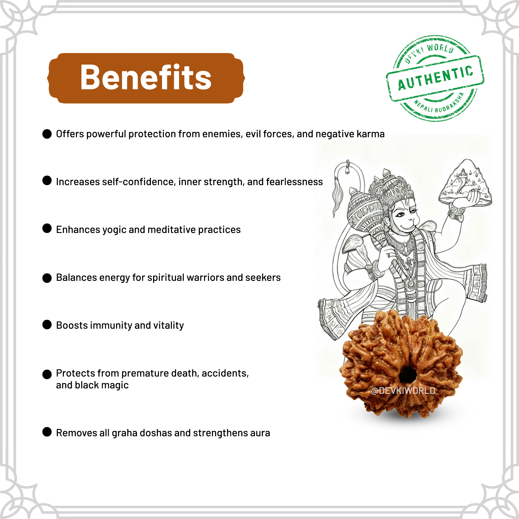11 Mukhi Rudraksha