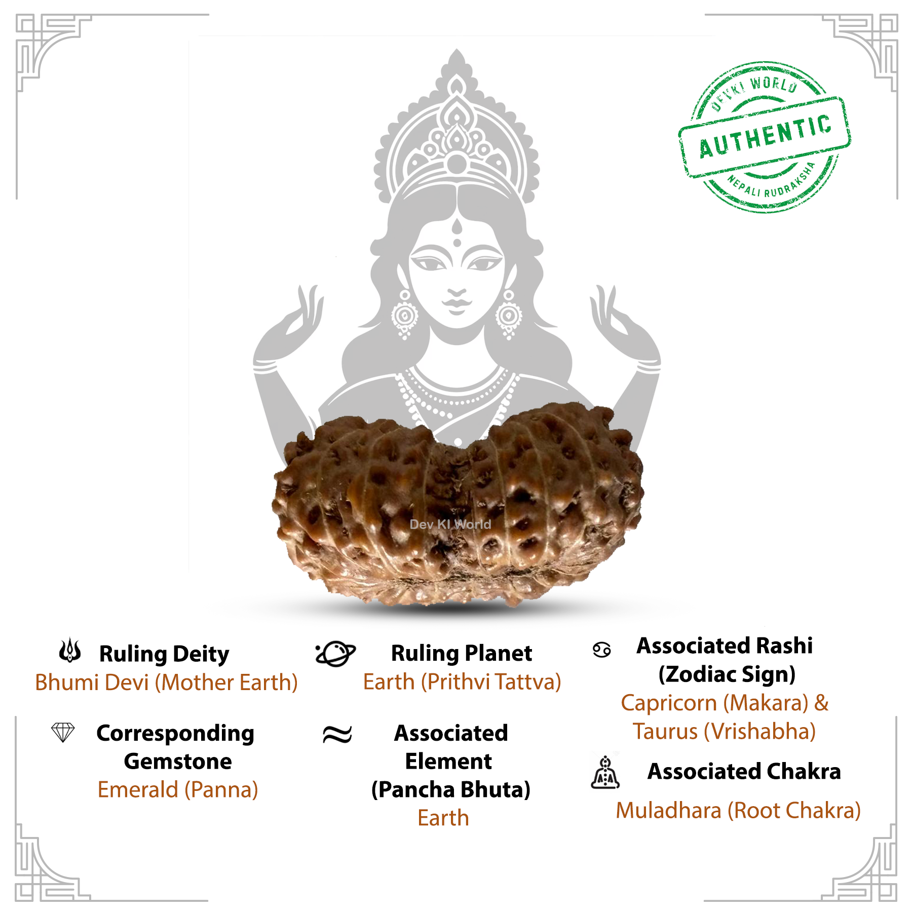 18 Mukhi Rudraksha