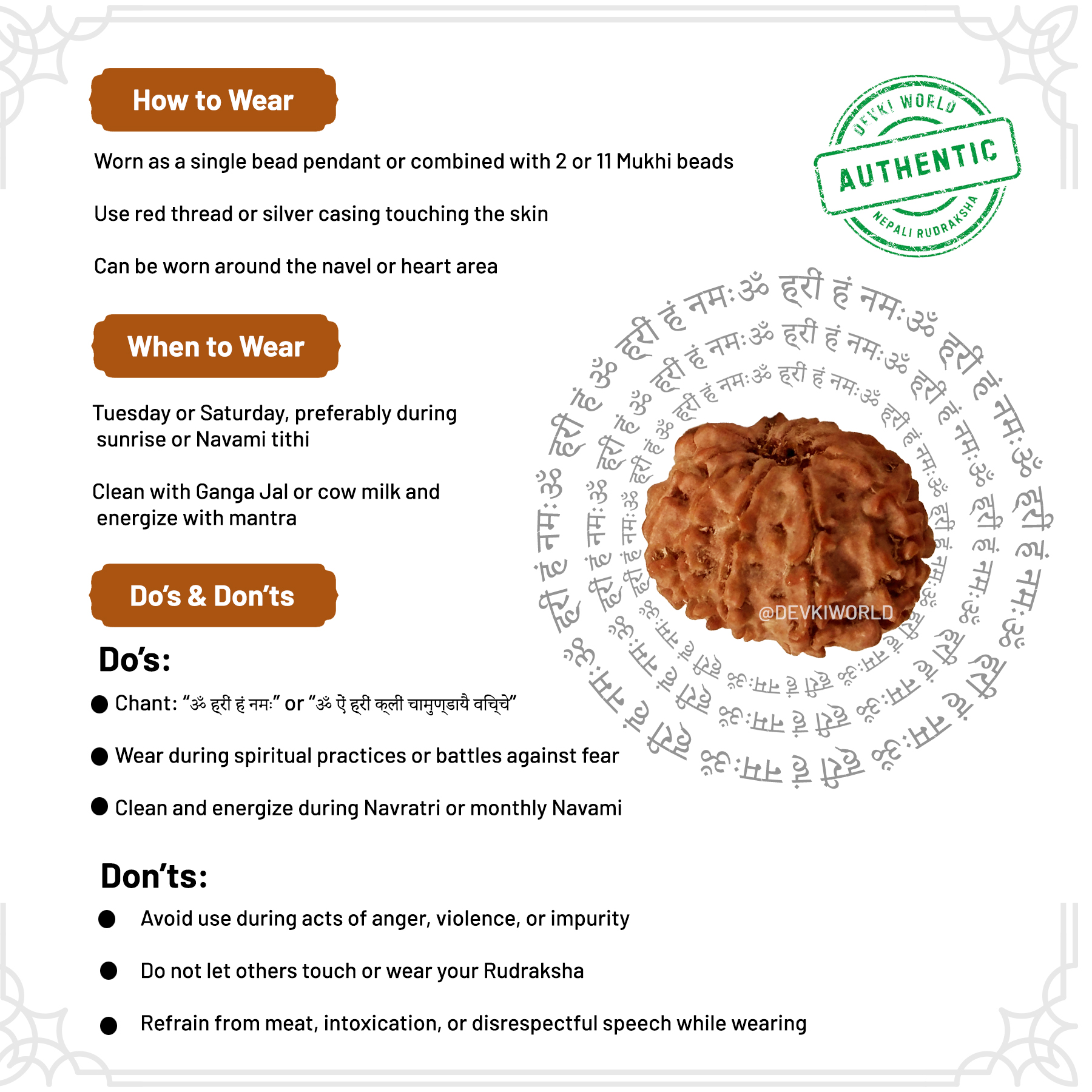 9 Mukhi Rudraksha