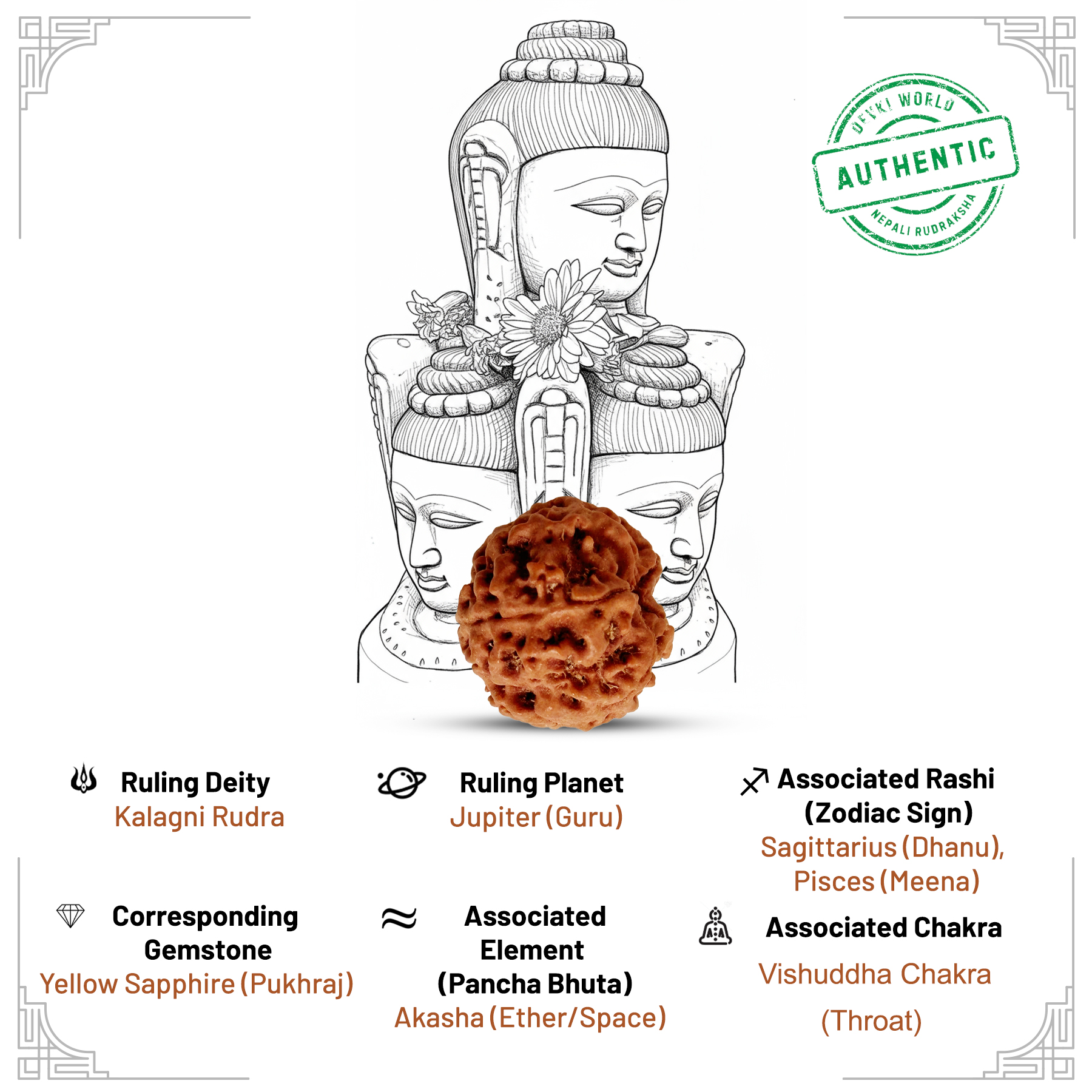 5 Mukhi Rudraksha