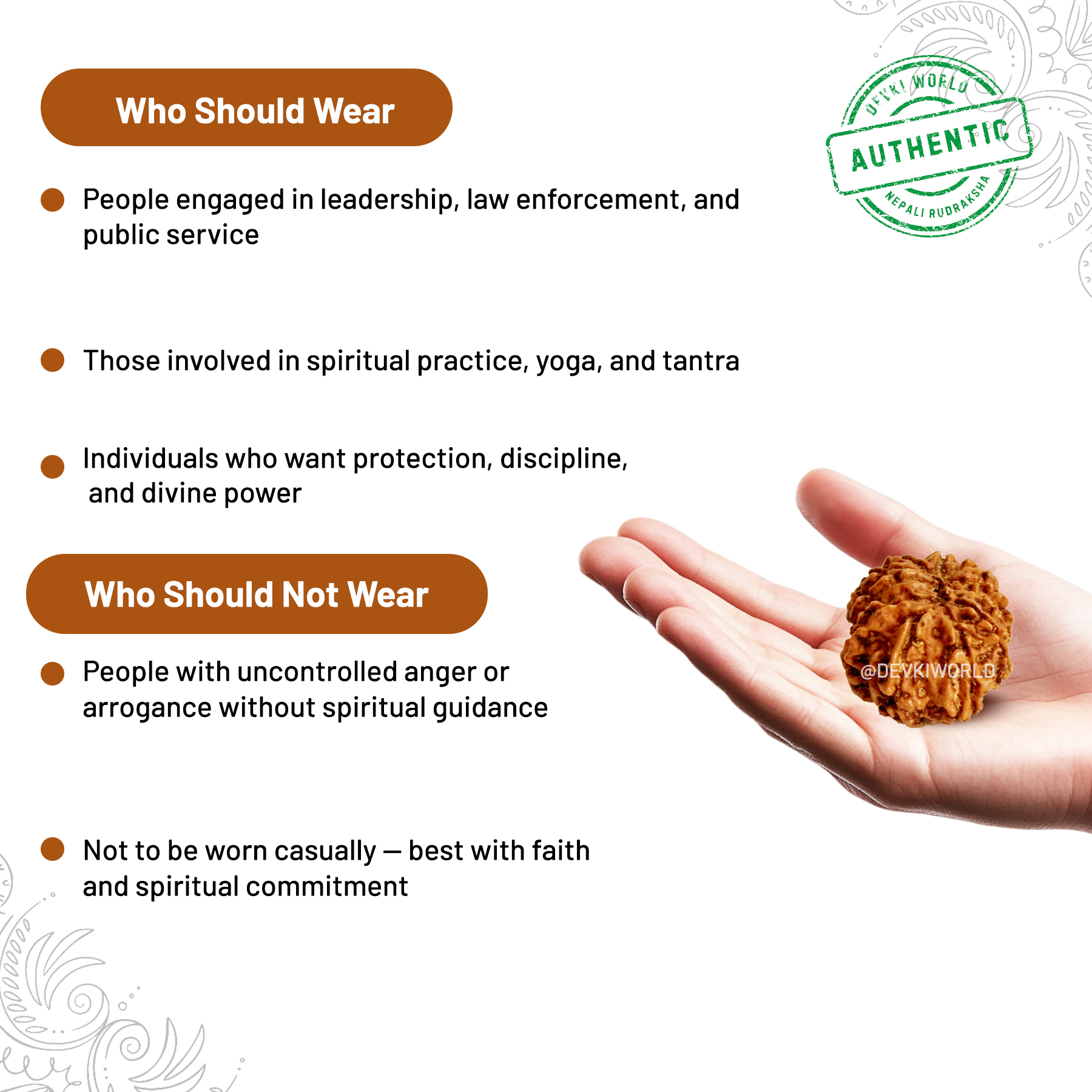 11 Mukhi Rudraksha