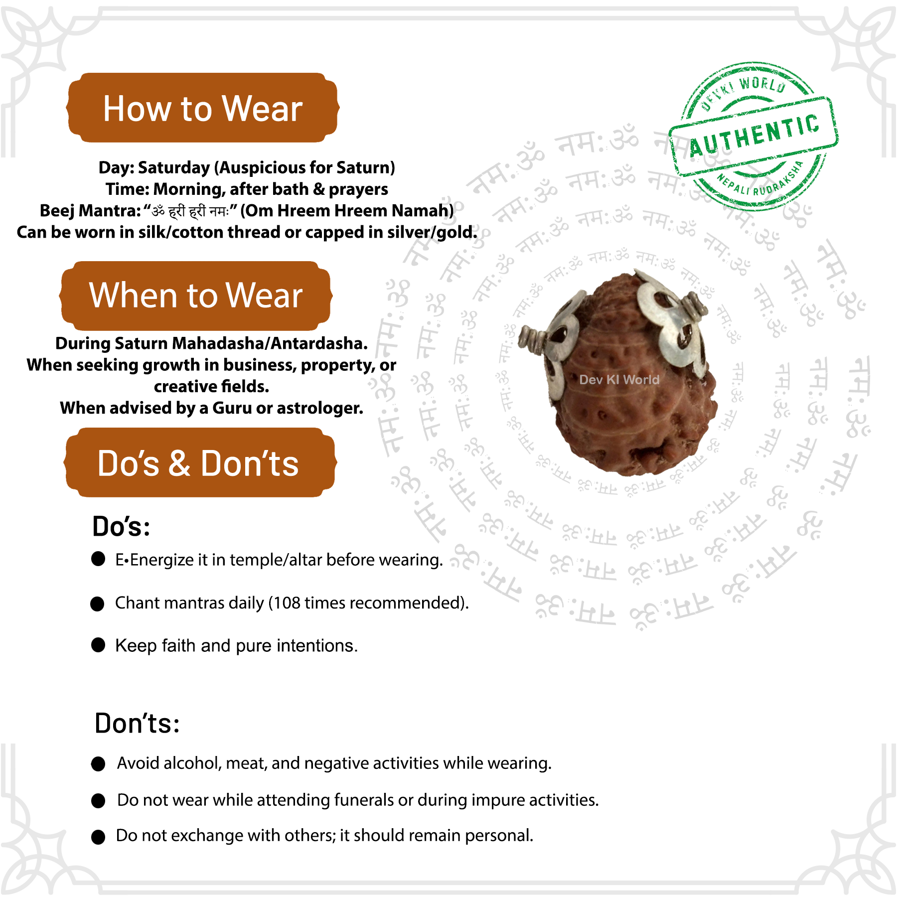 17 Mukhi Rudraksha