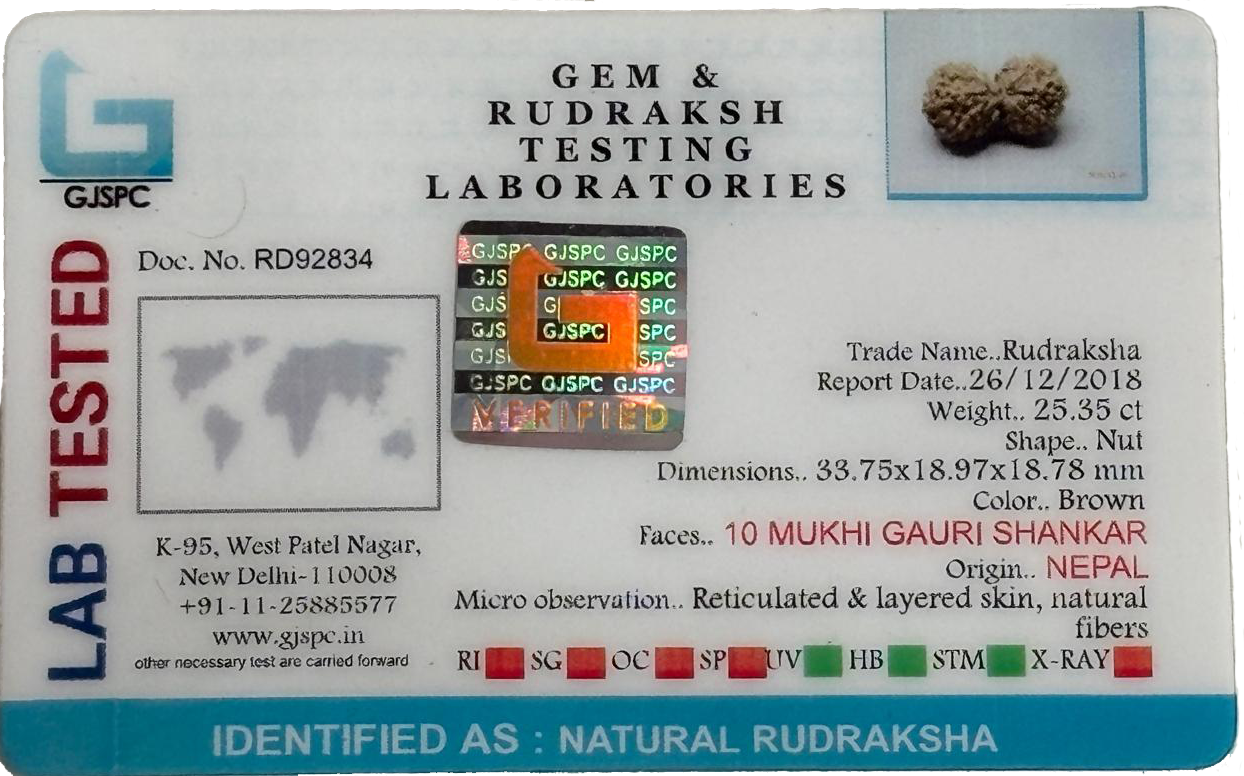Gauri Shankar Rudraksha