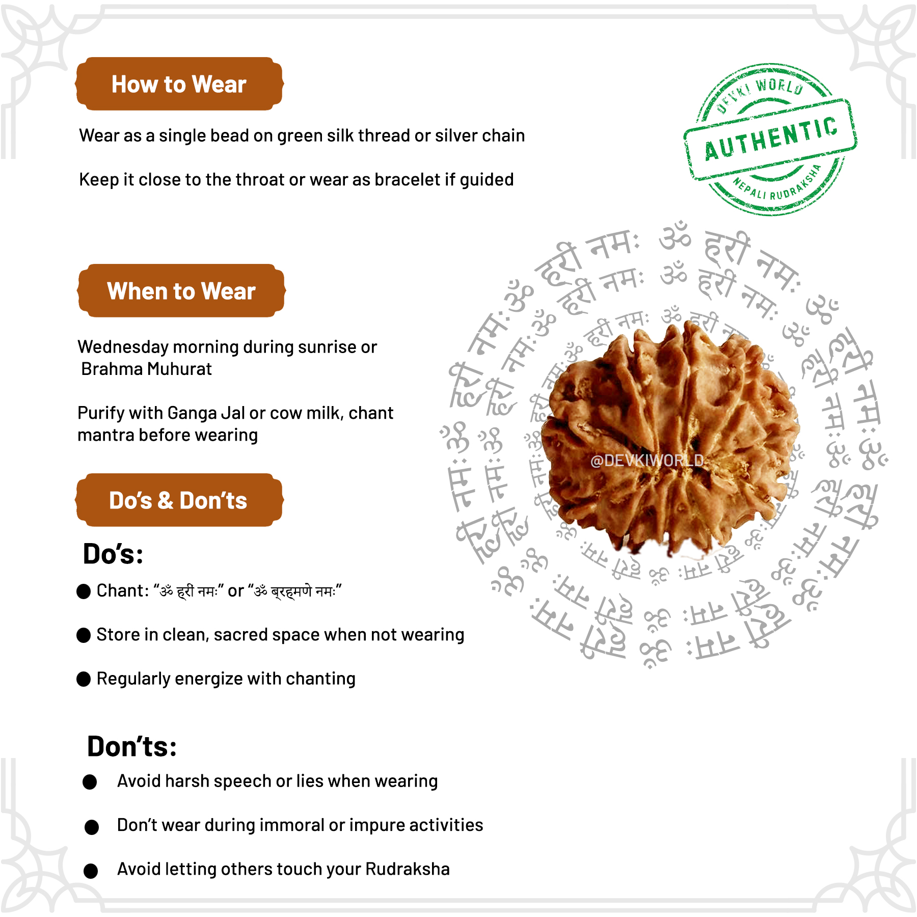 4 Mukhi Rudraksha