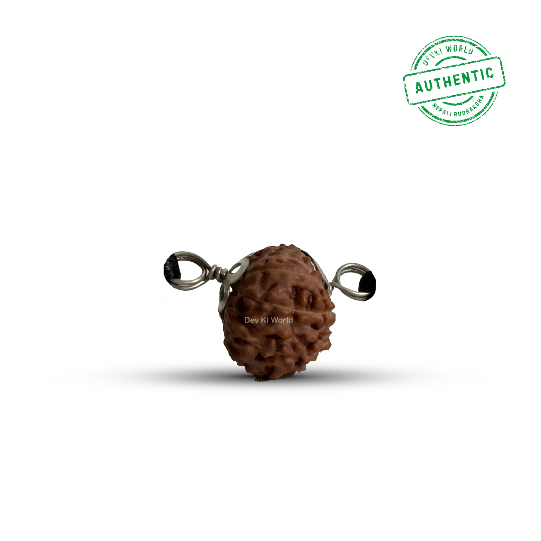 17 Mukhi Rudraksha