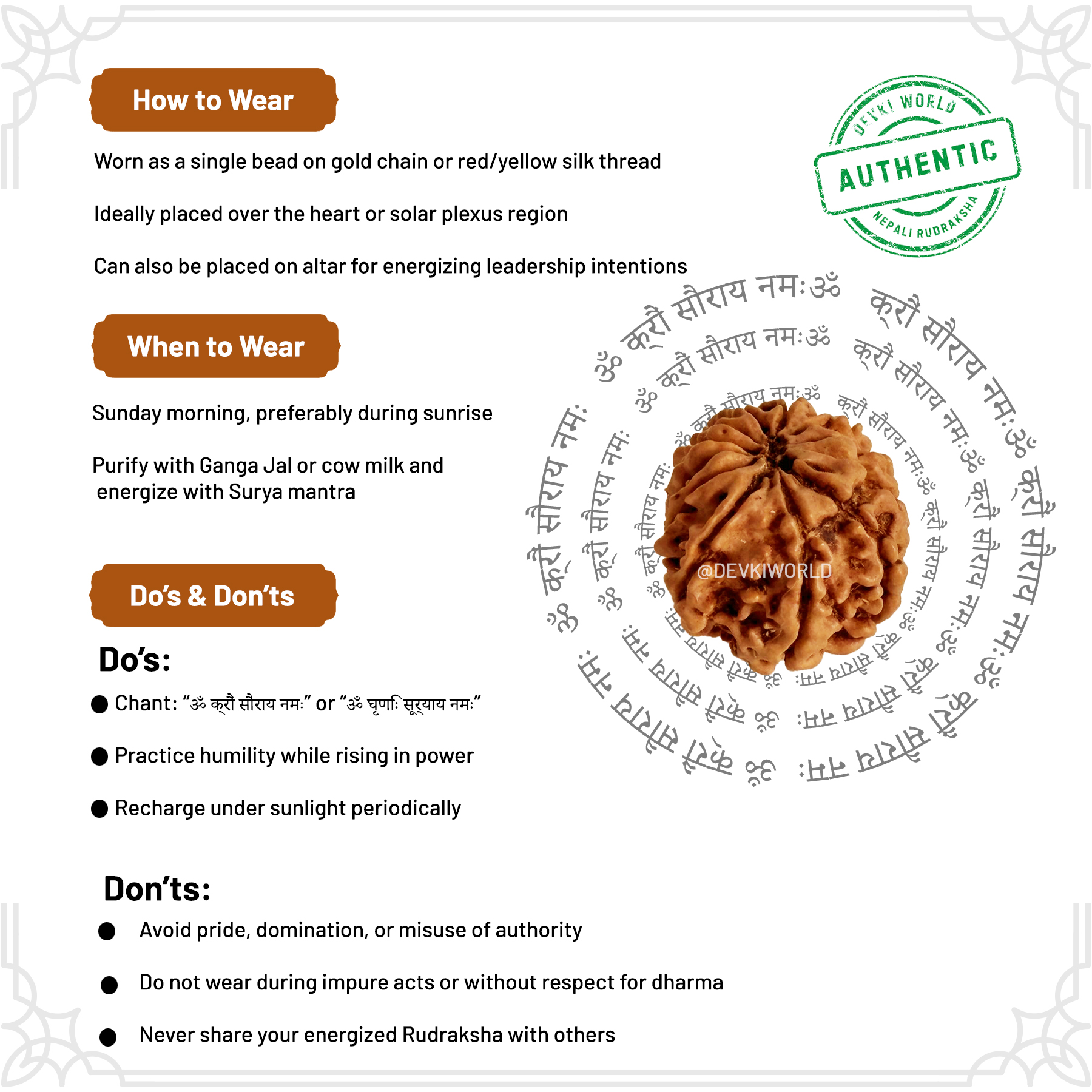 12 Mukhi Rudraksha