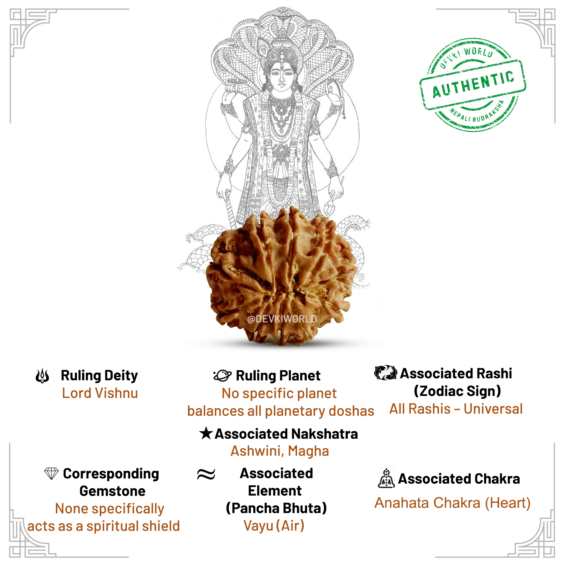 10 Mukhi Rudraksha