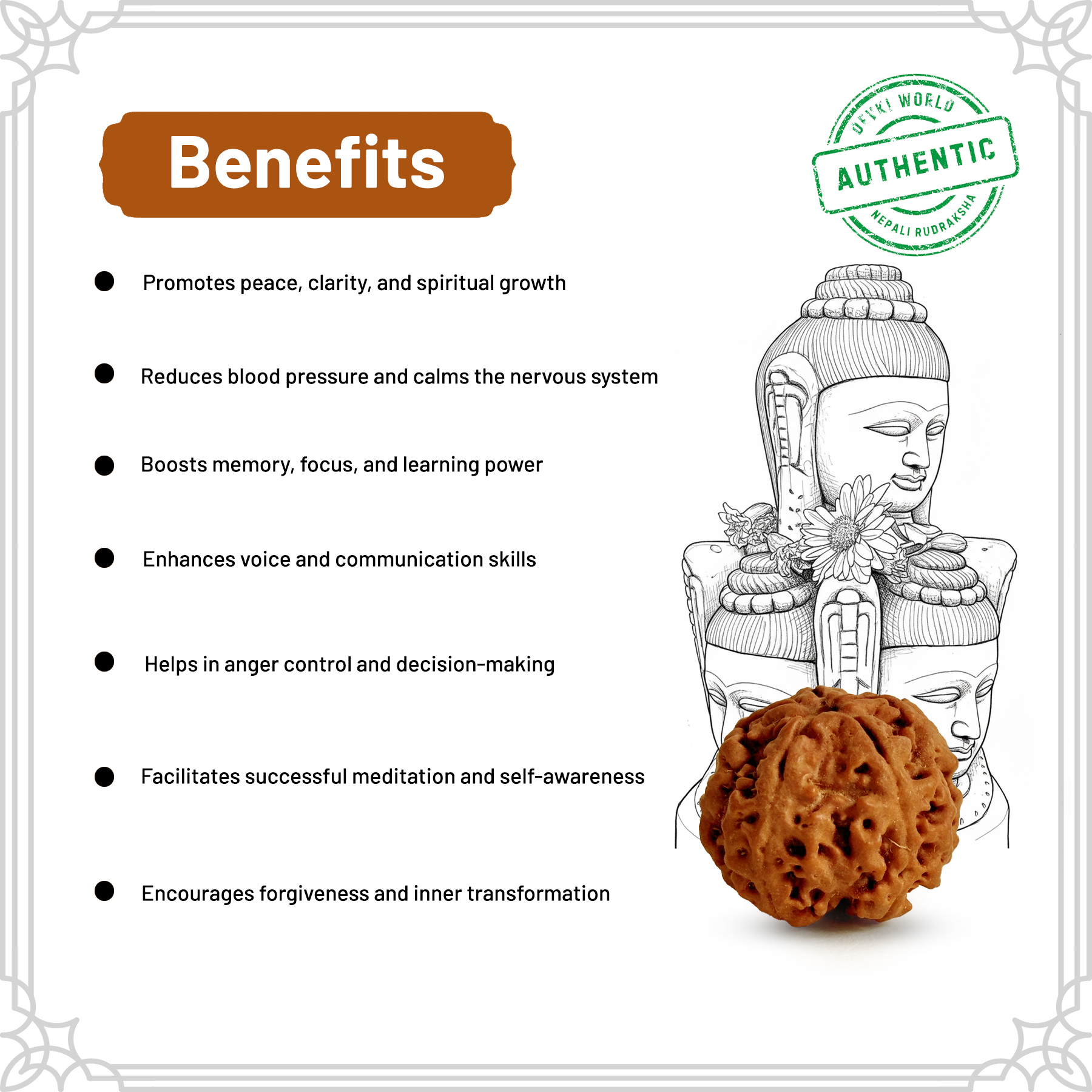 5 Mukhi Rudraksha
