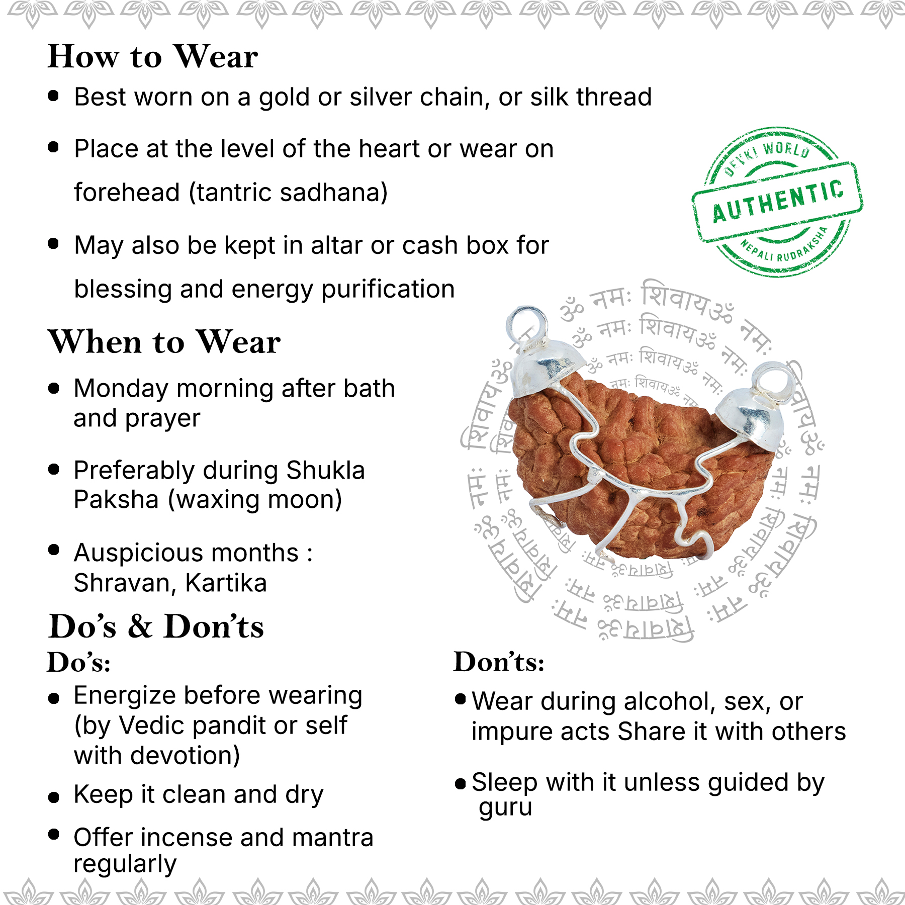 1 Mukhi Rudraksha Indian