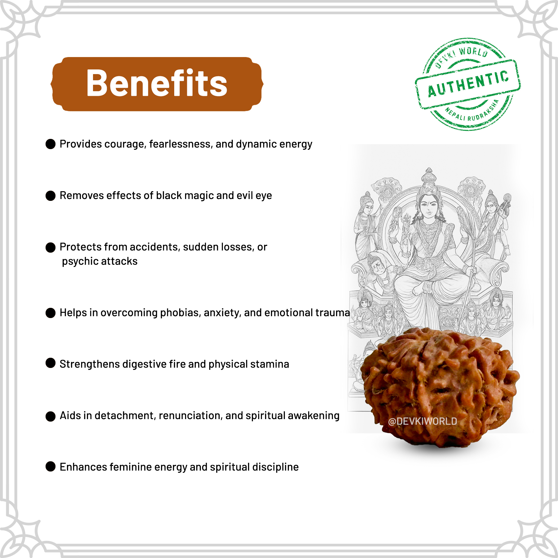 9 Mukhi Rudraksha