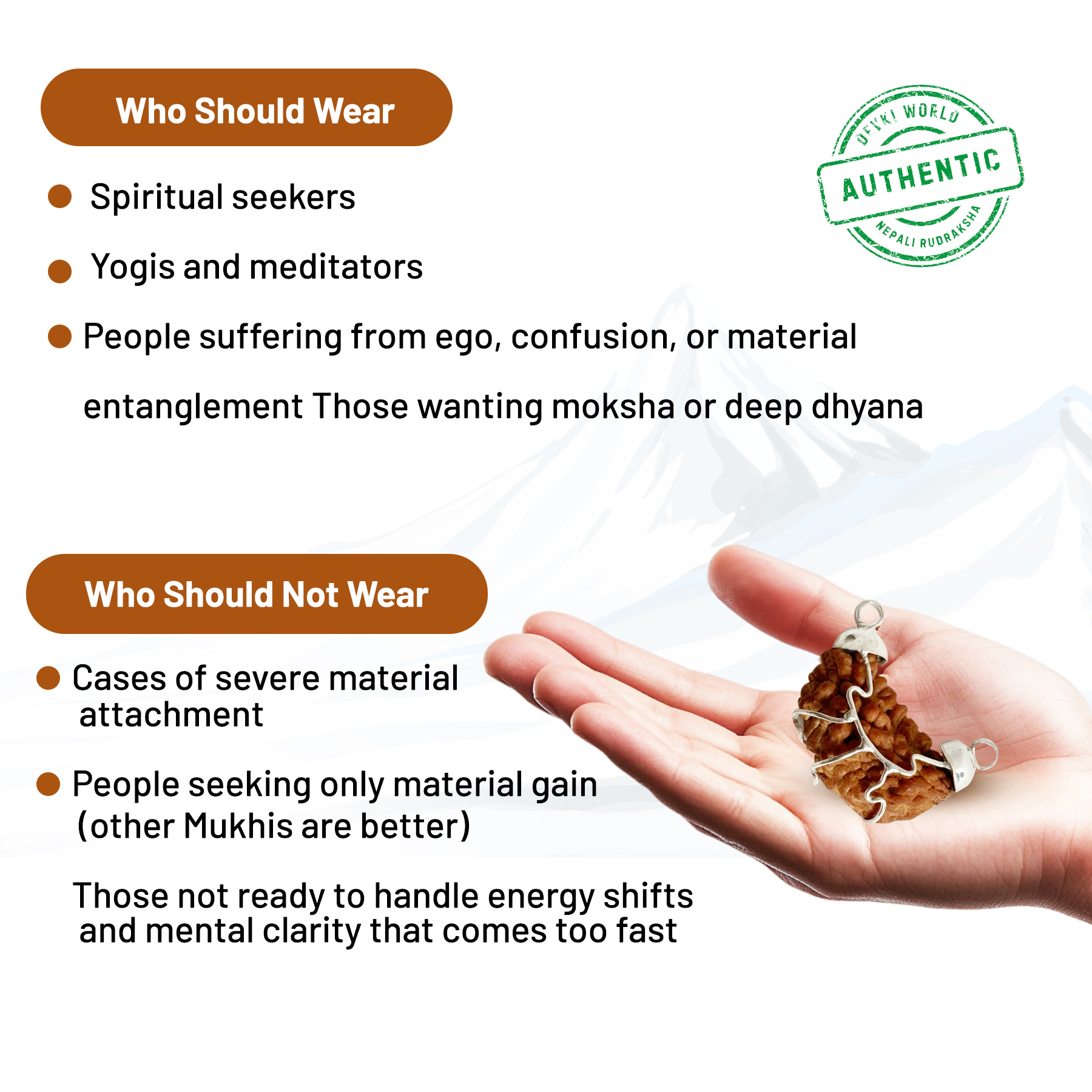 1 Mukhi Rudraksha Indian
