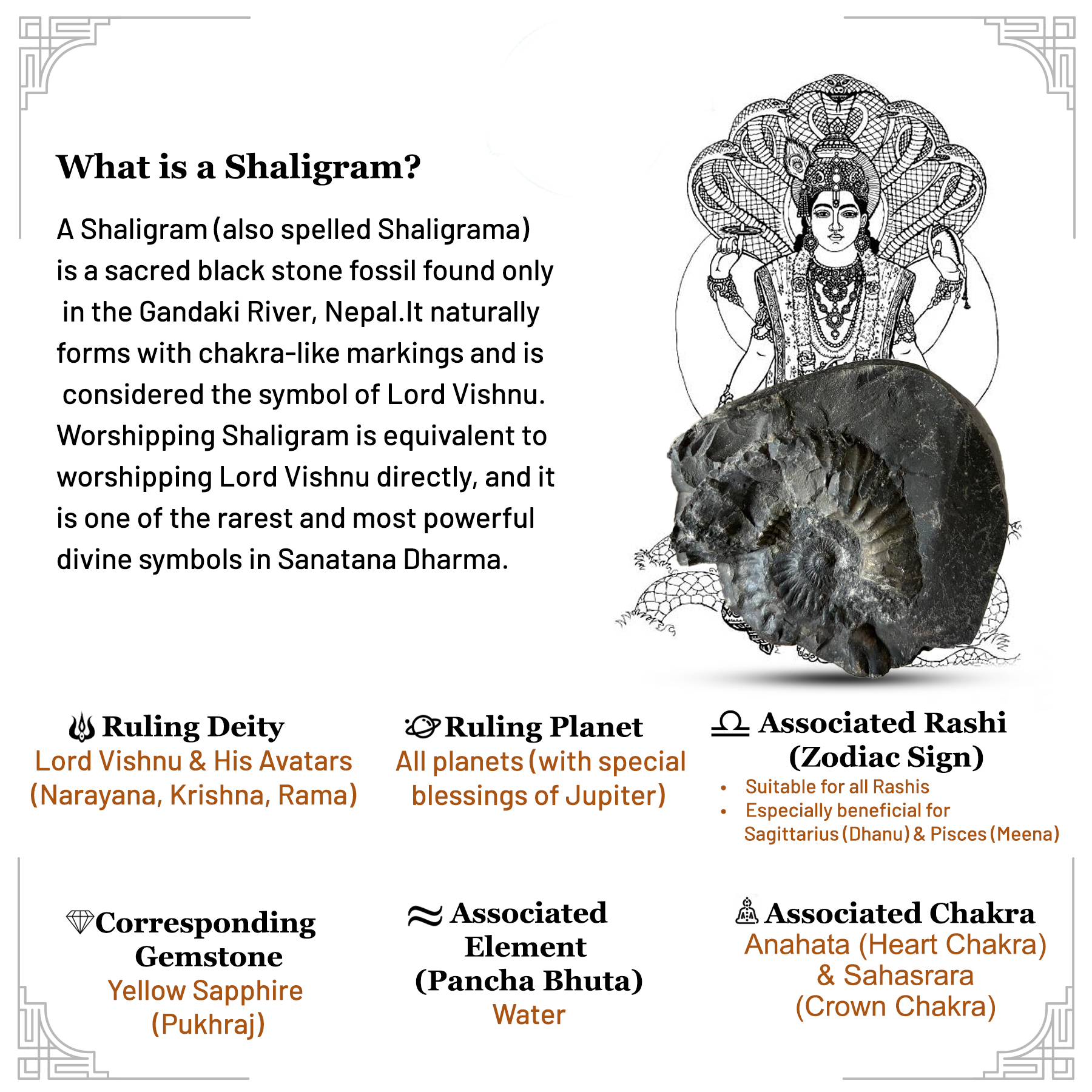 Shaligrama shila Narayana Shila