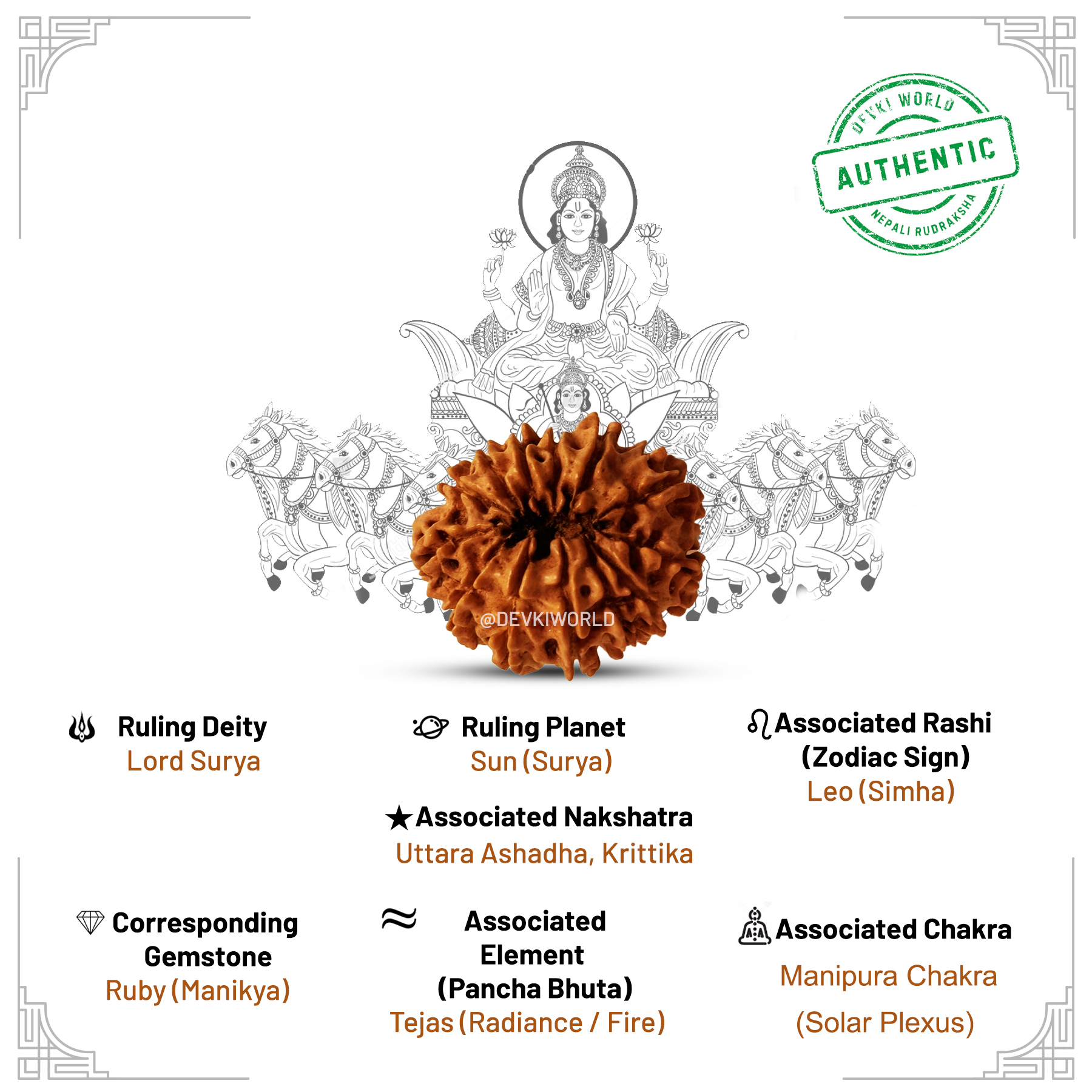 12 Mukhi Rudraksha