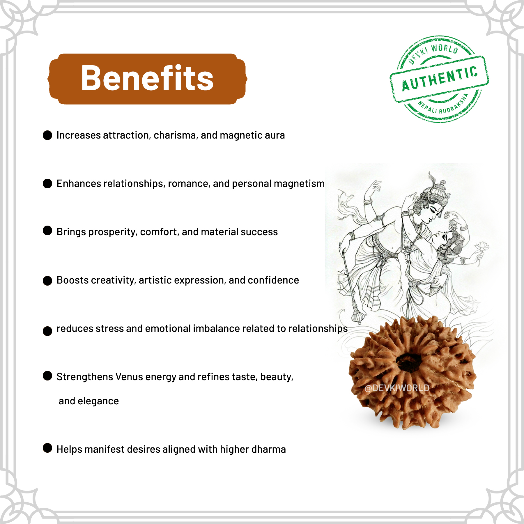 13 Mukhi Rudraksha