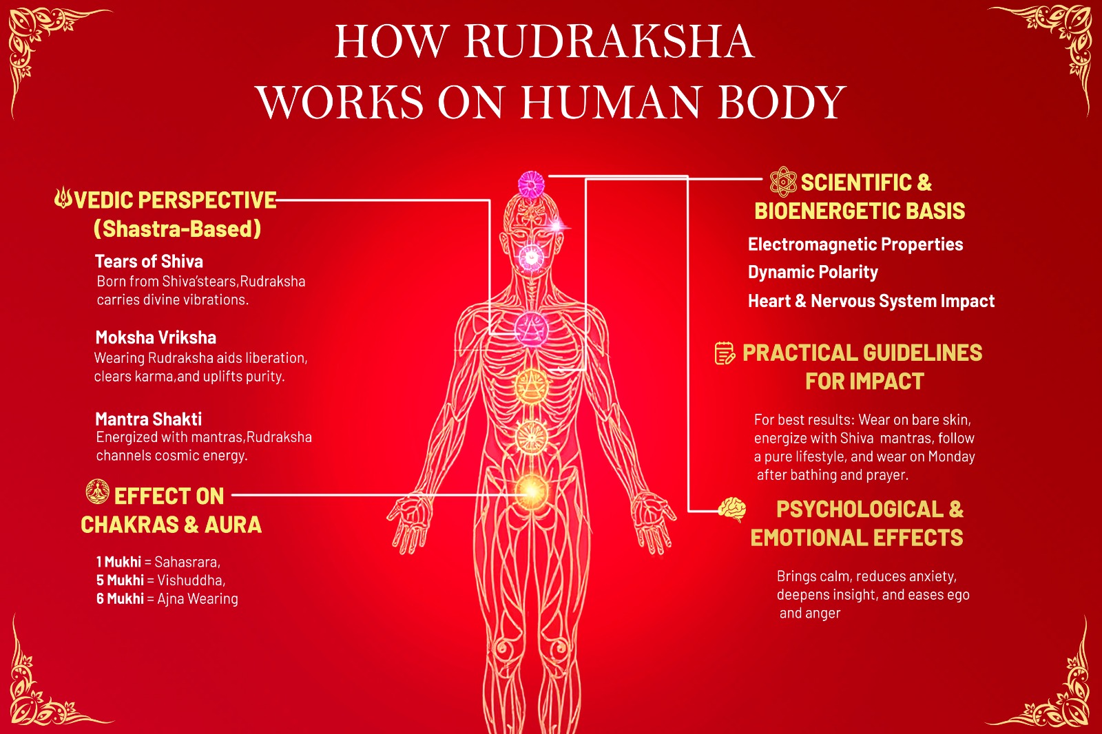The Relationship Between Chakras and Rudraksha: Using Sacred Beads to Awaken Inner Energy