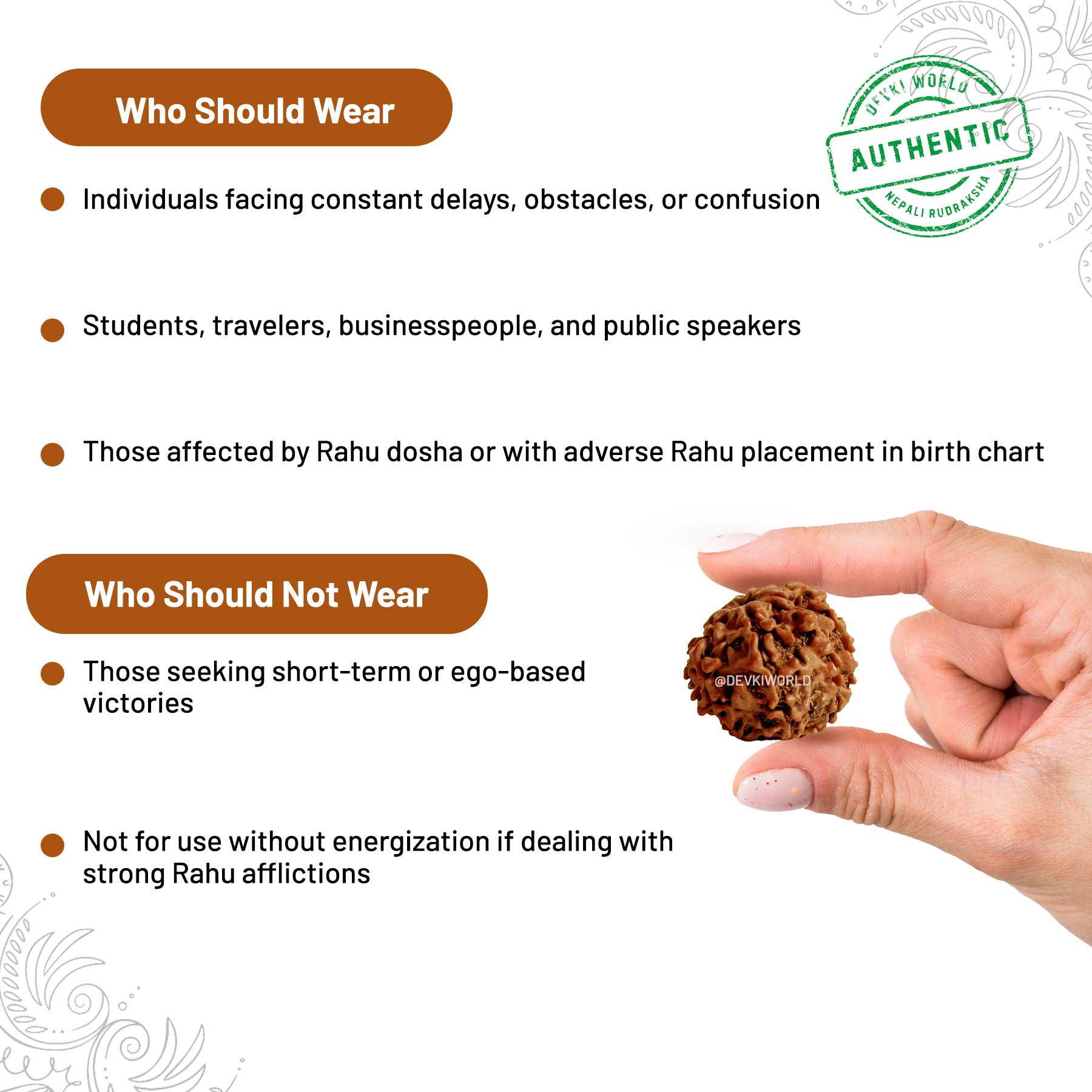 8 Mukhi Rudraksha