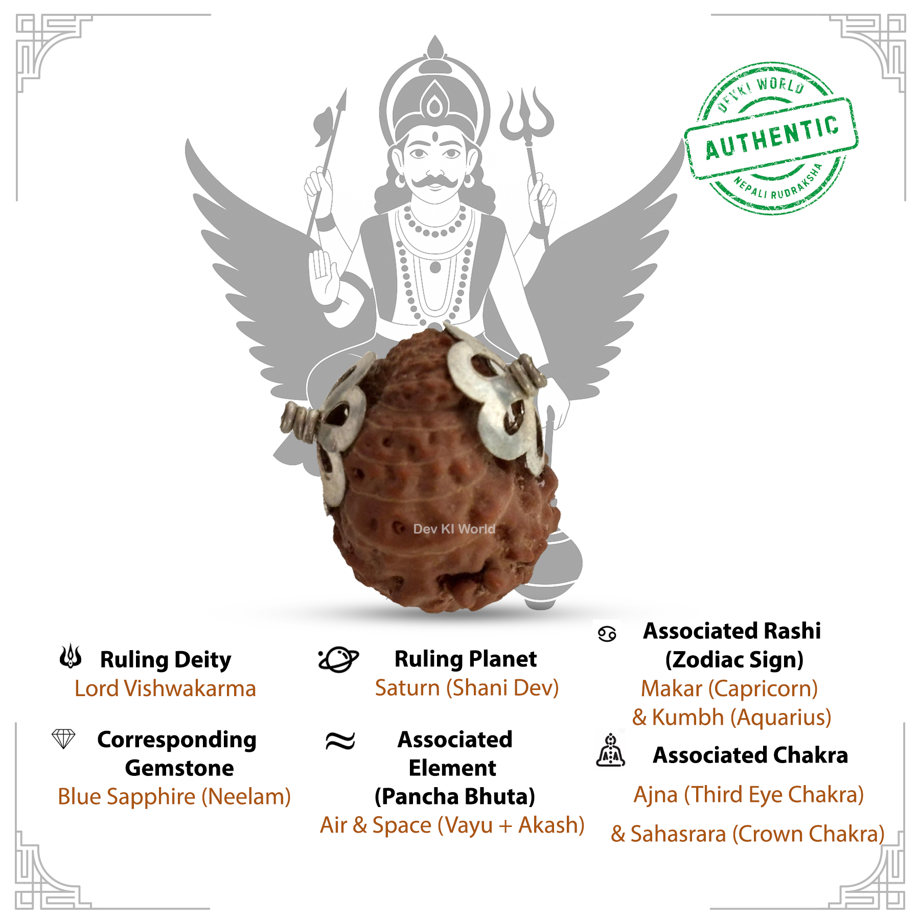 17 Mukhi Rudraksha