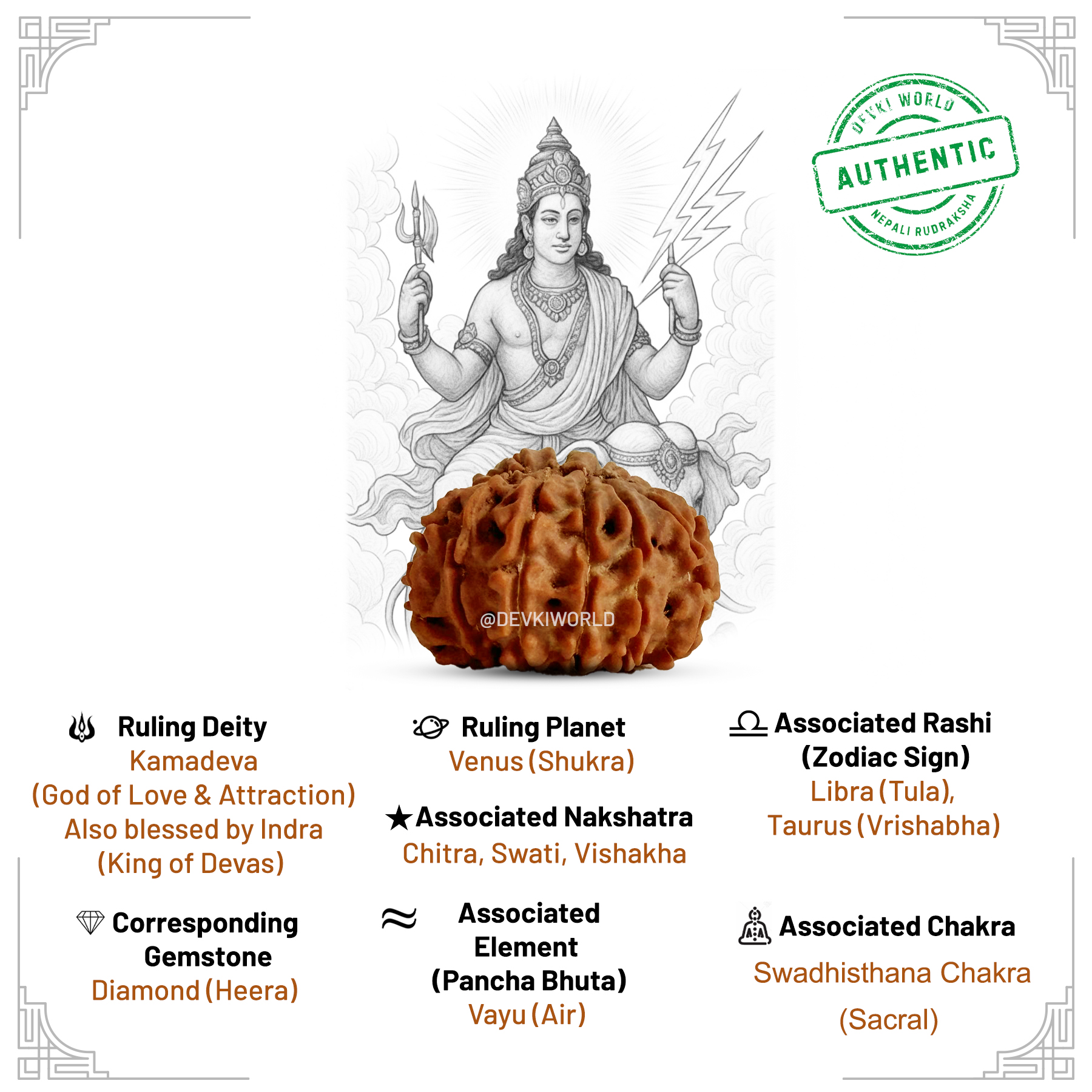 13 Mukhi Rudraksha