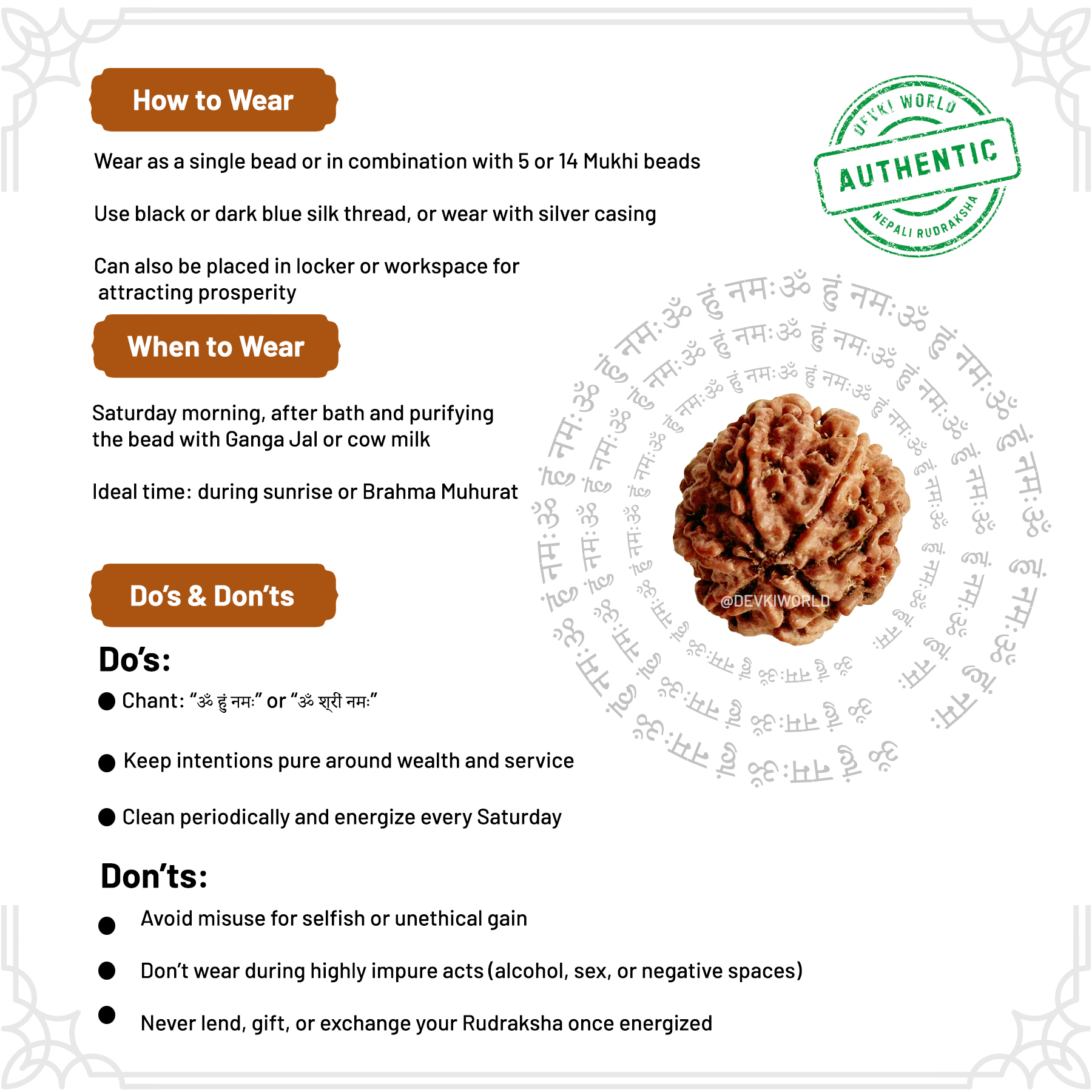 7 Mukhi Rudraksha