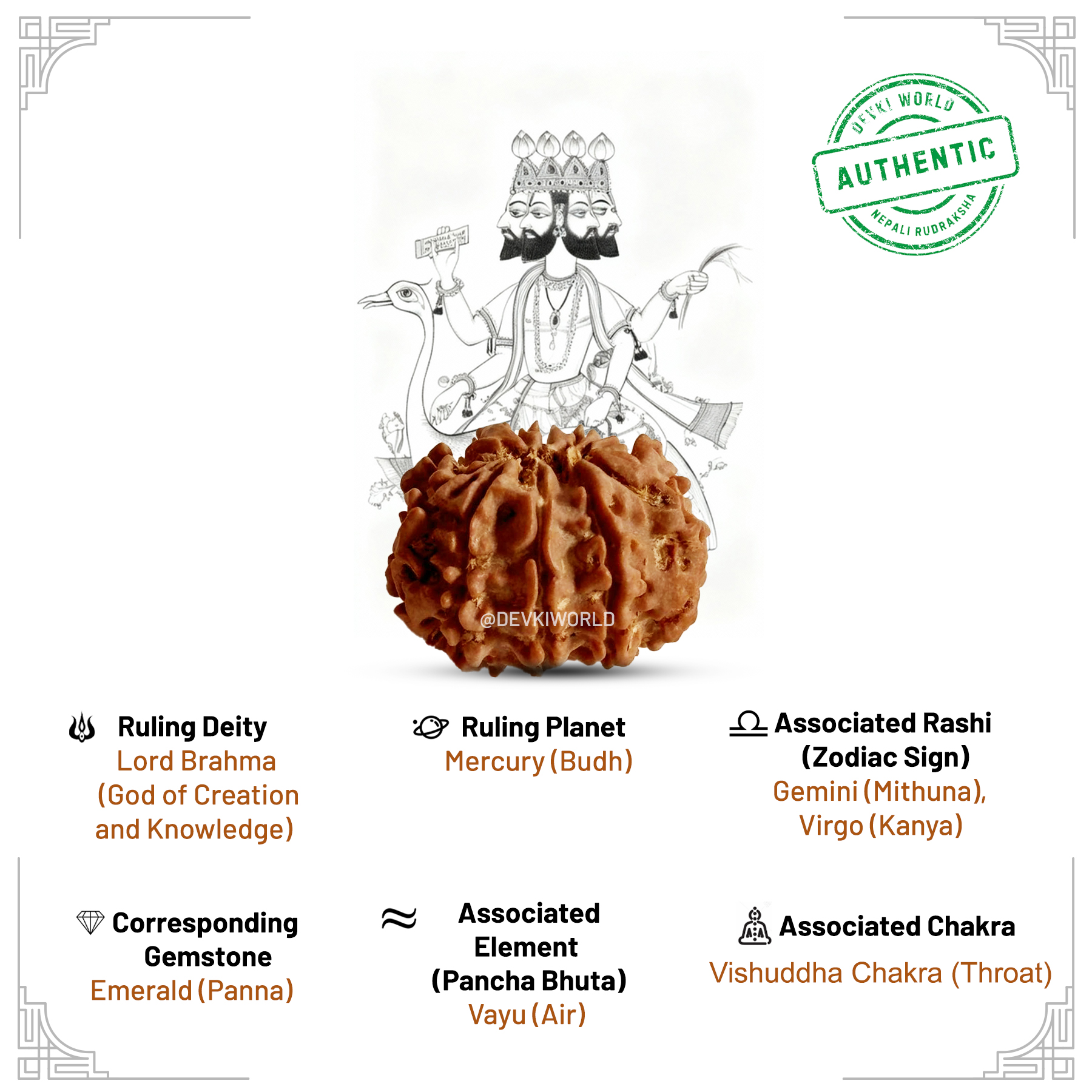 4 Mukhi Rudraksha