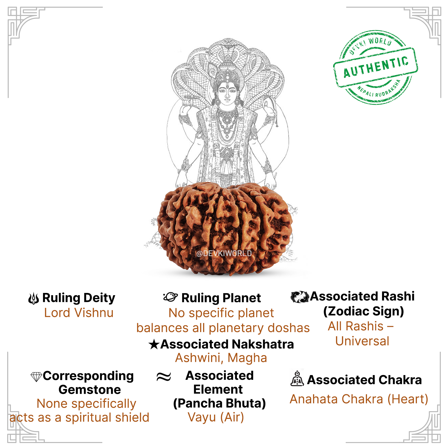 10 Mukhi Rudraksha