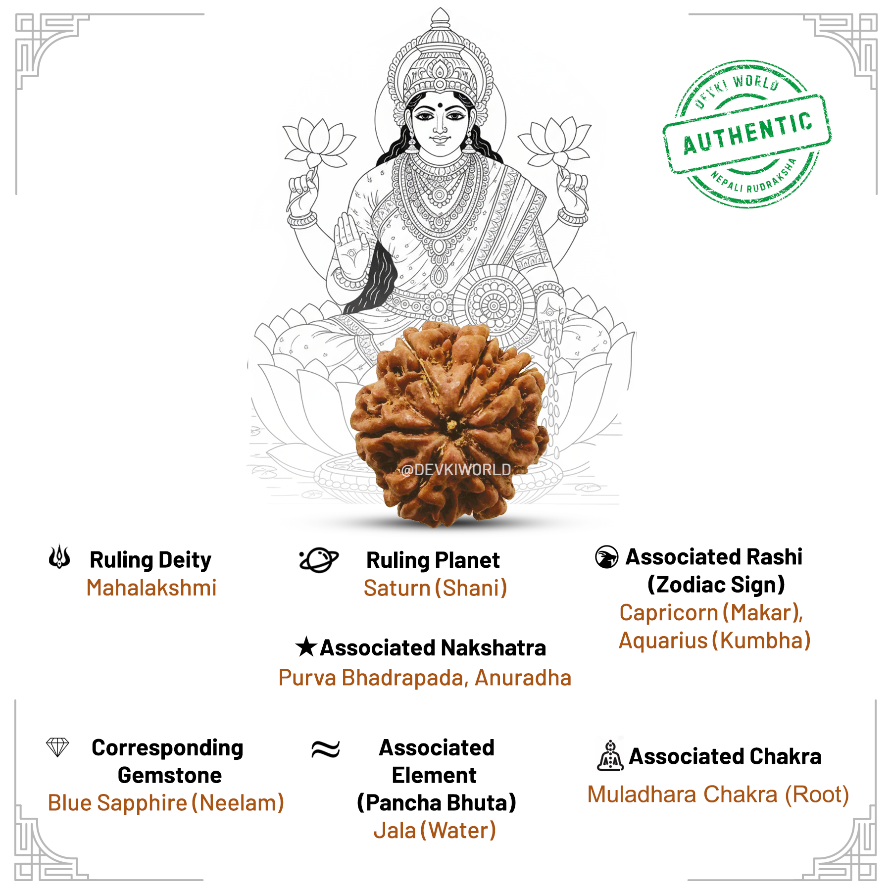 7 Mukhi Rudraksha