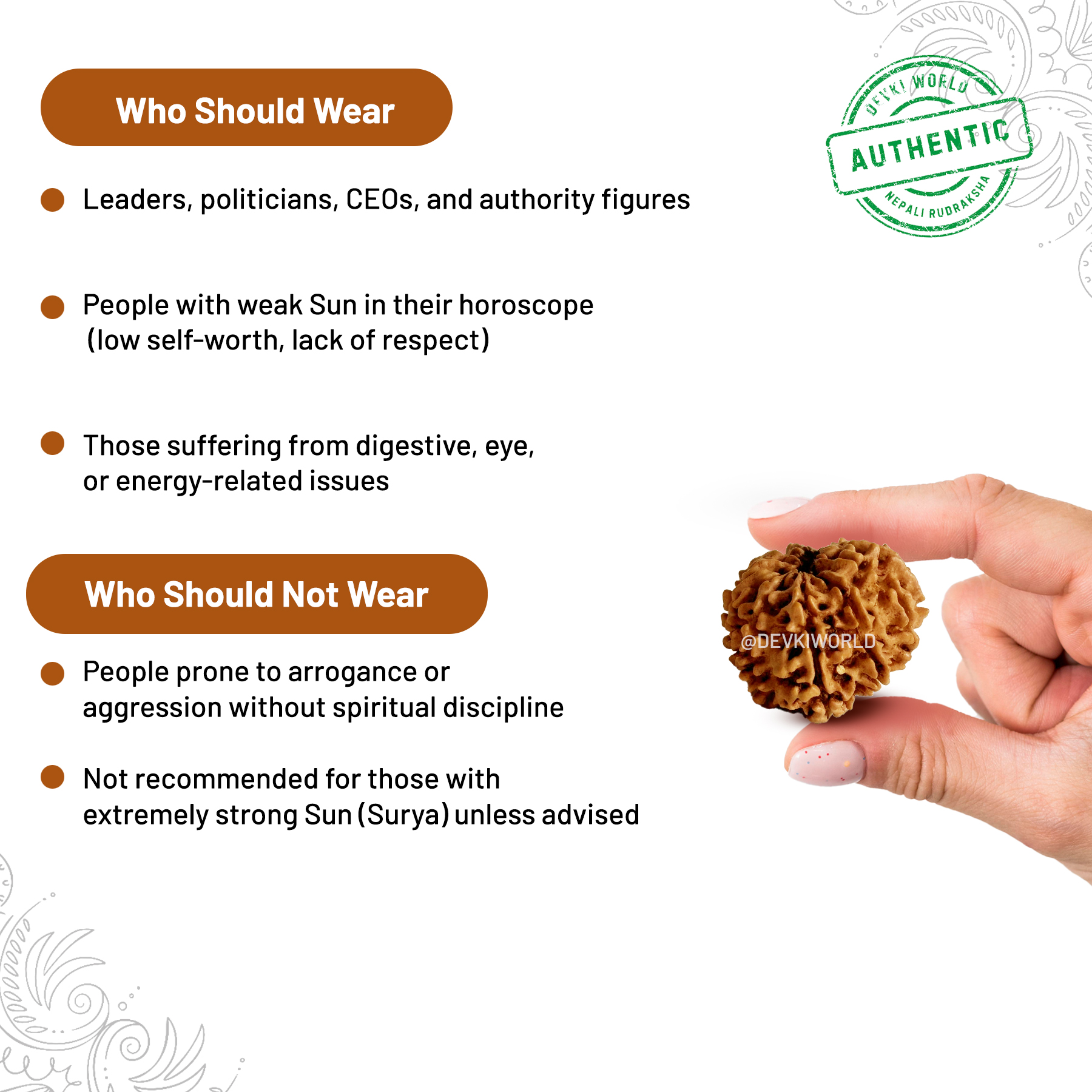 12 Mukhi Rudraksha