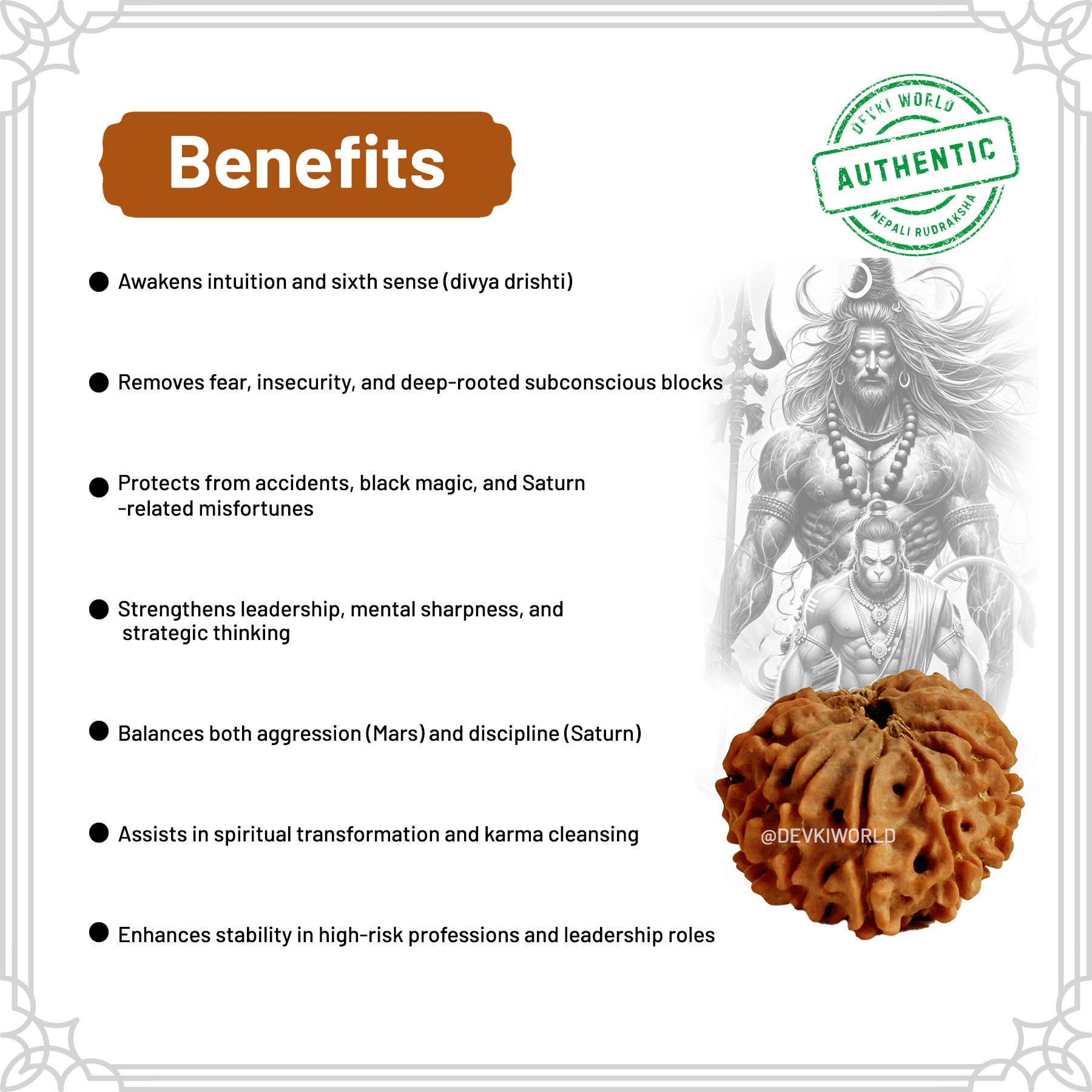14 Mukhi Rudraksha