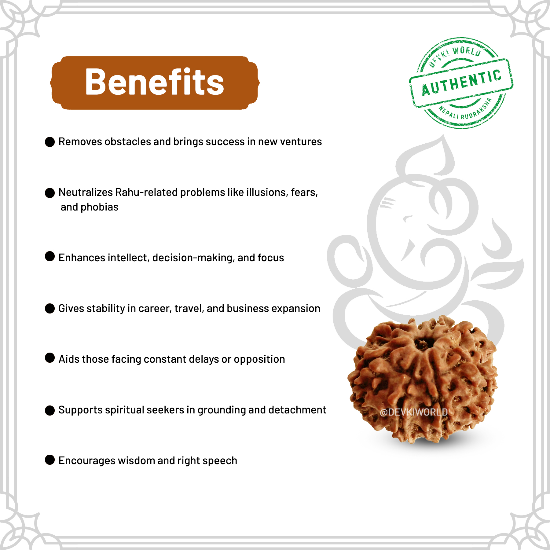 8 Mukhi Rudraksha