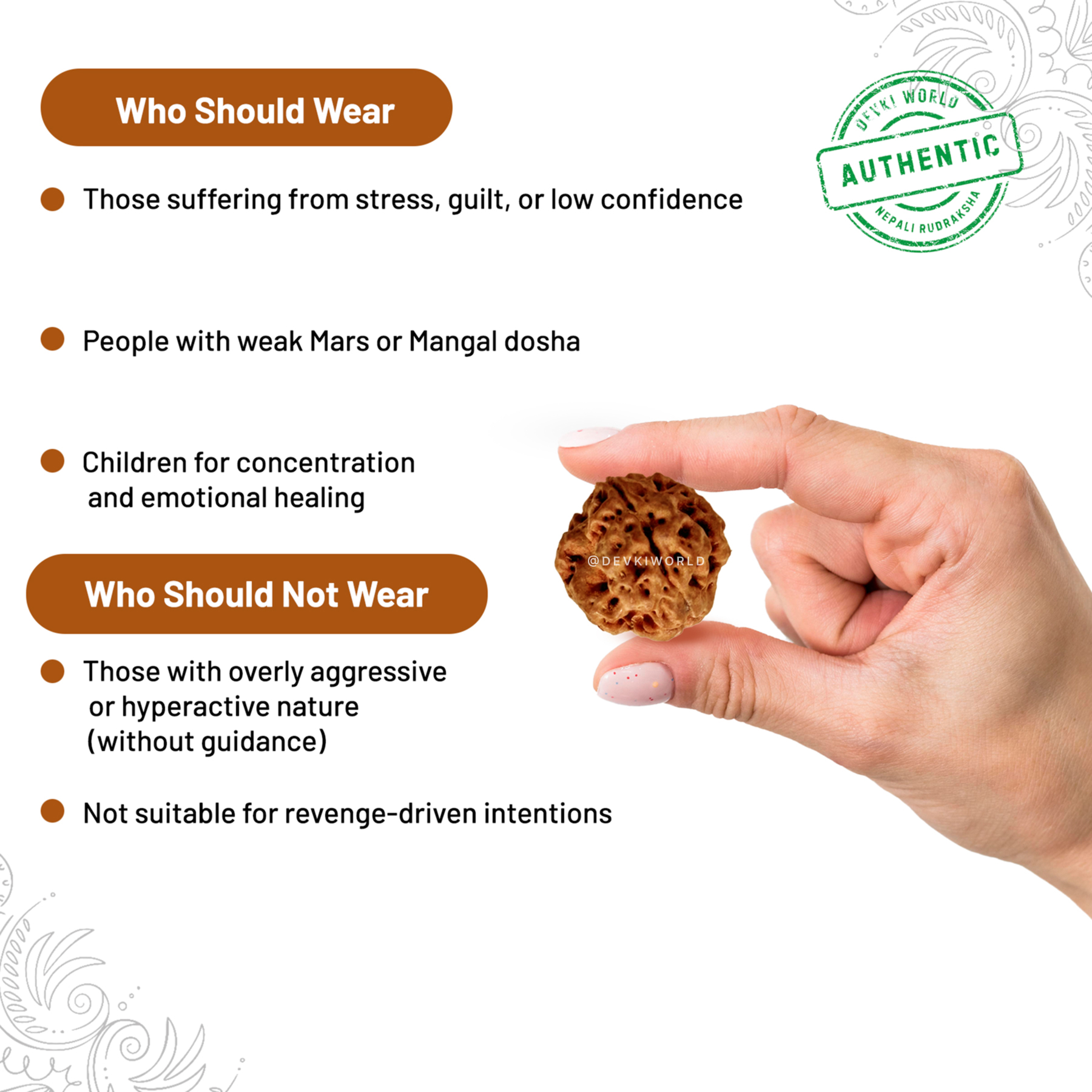 3 Mukhi Rudraksha