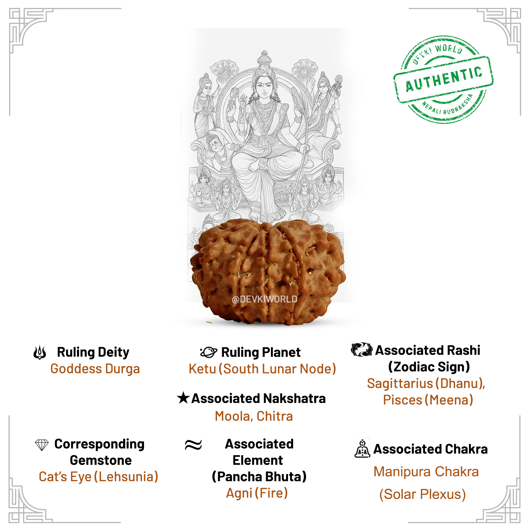 9 Mukhi Rudraksha