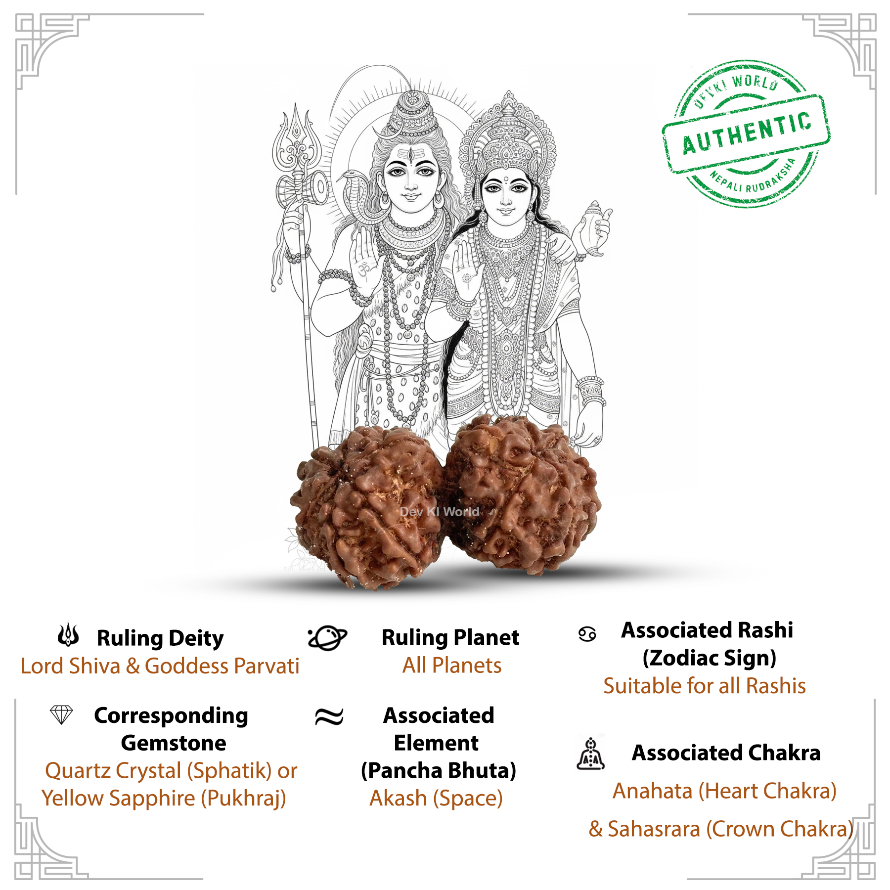 Gauri Shankar Rudraksha