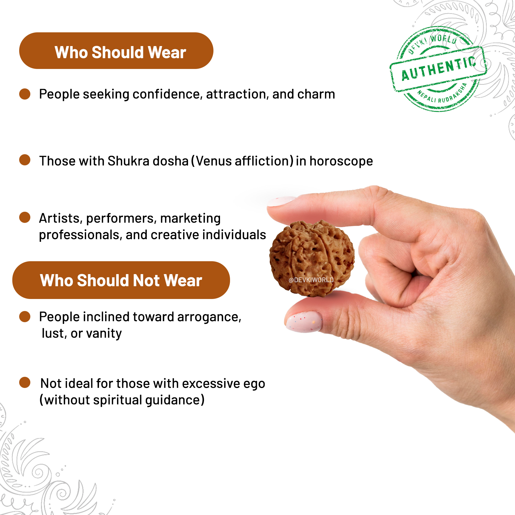 6 Mukhi Rudraksha