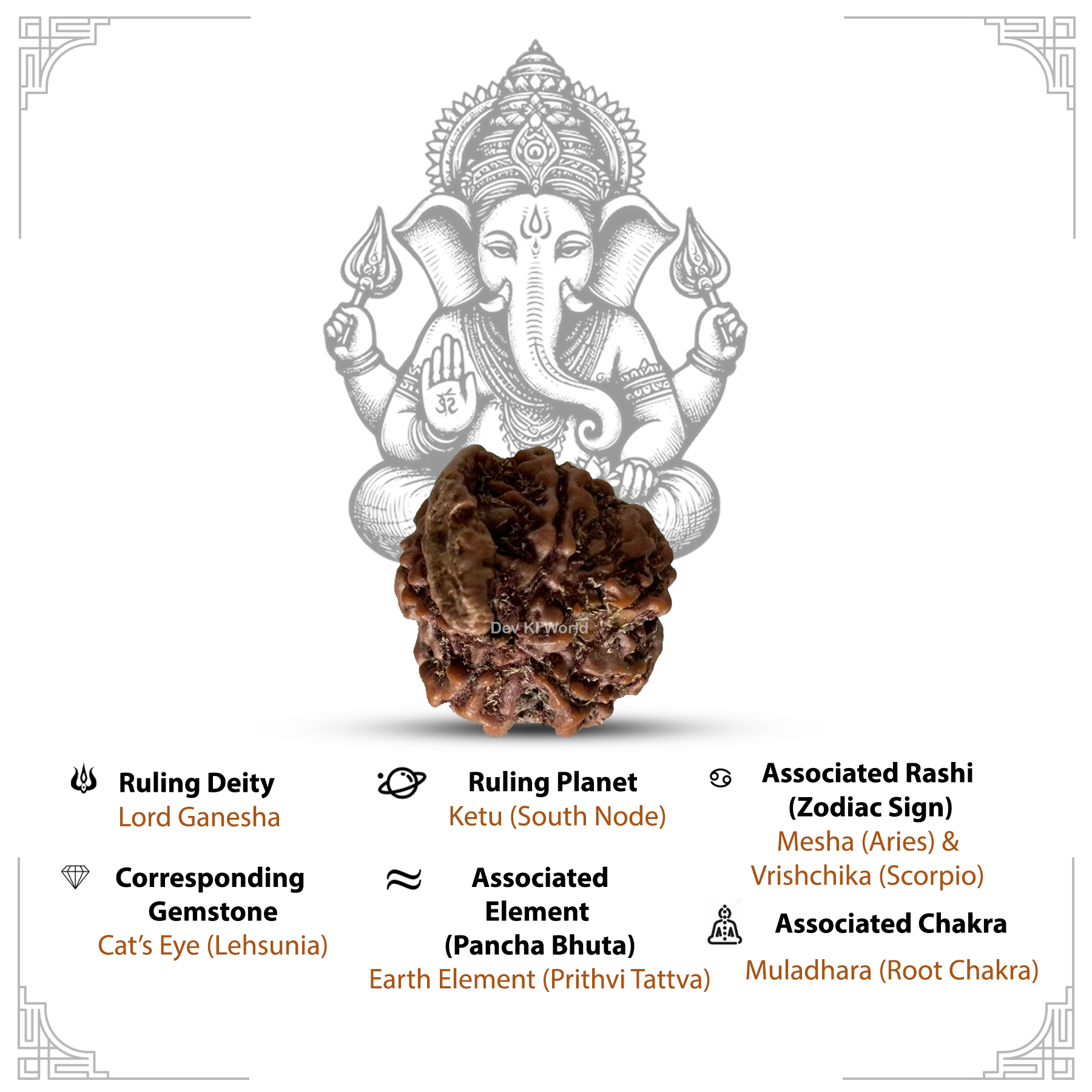 Ganesh Rudraksha