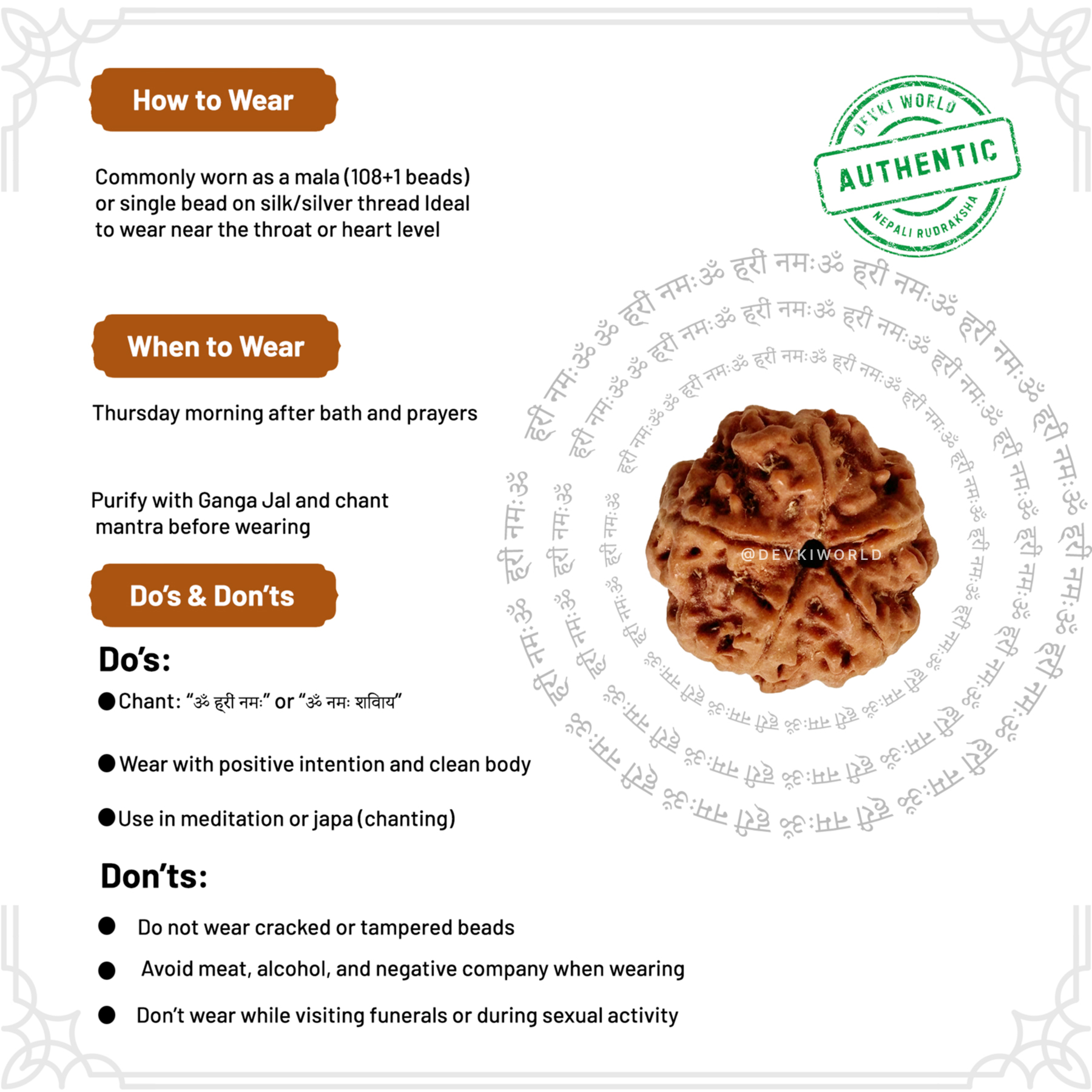 5 Mukhi Rudraksha