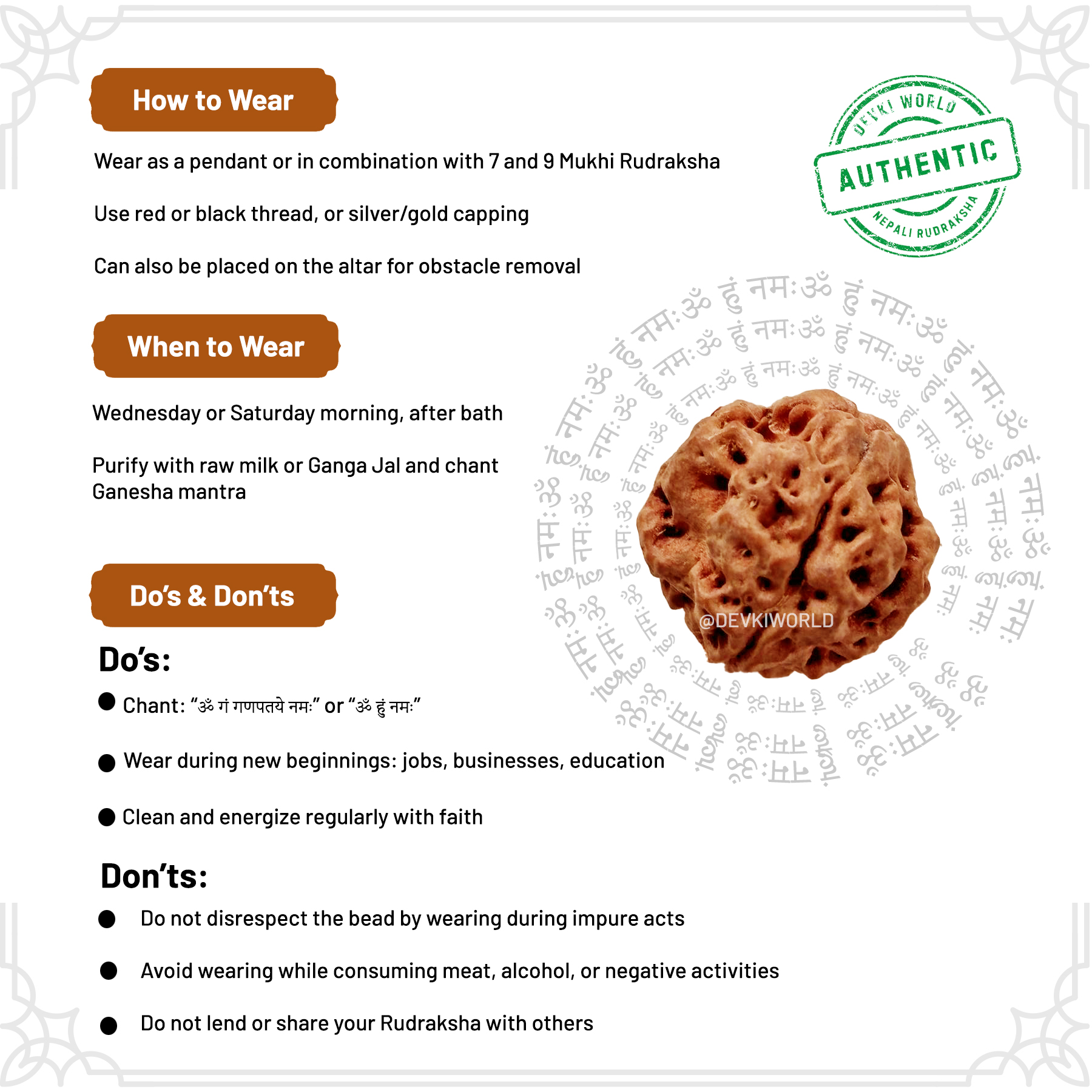 8 Mukhi Rudraksha