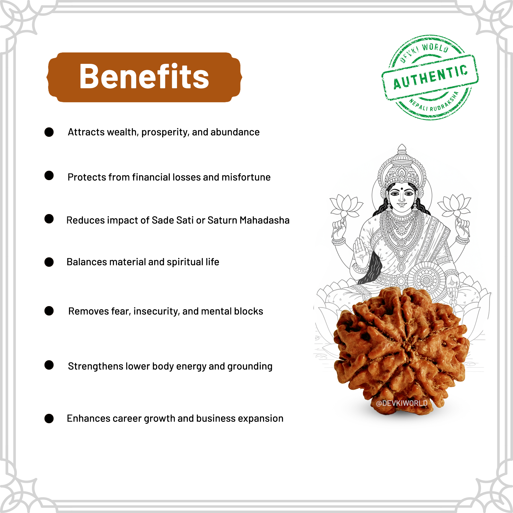7 Mukhi Rudraksha