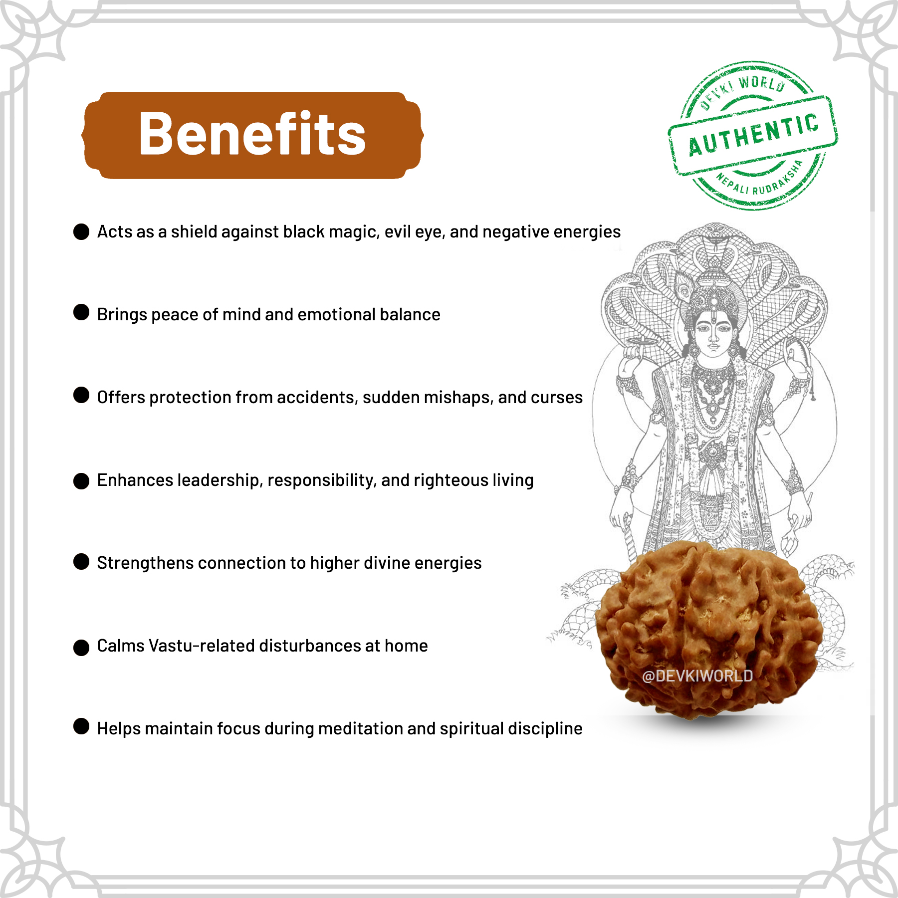 10 Mukhi Rudraksha