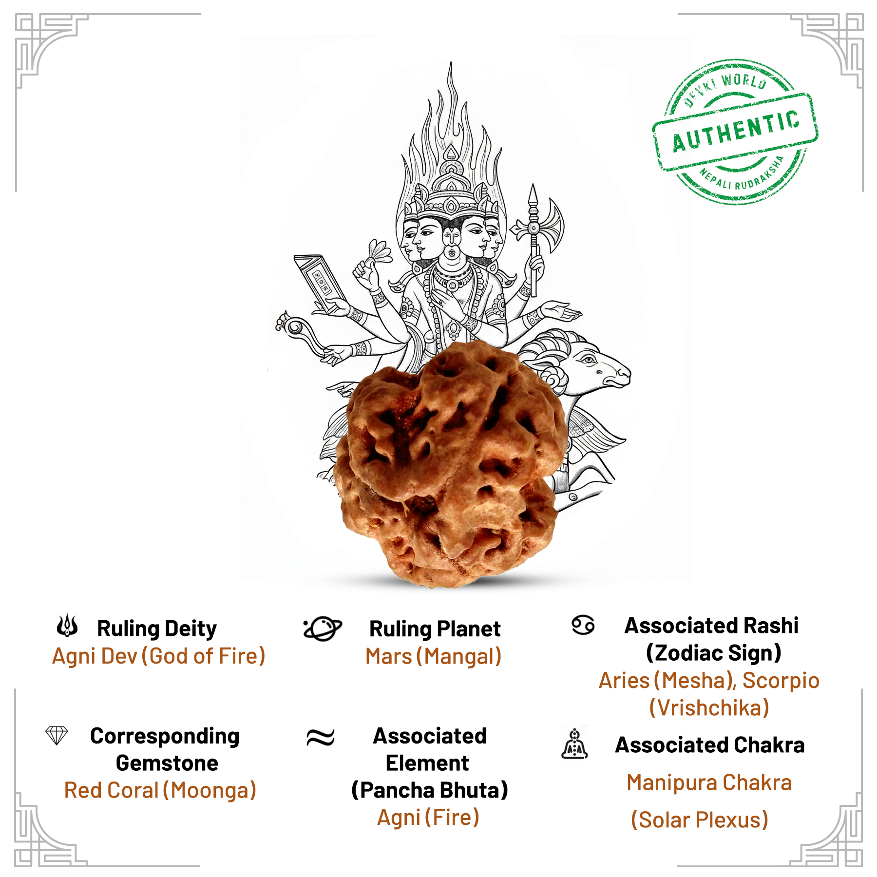 3 Mukhi Rudraksha