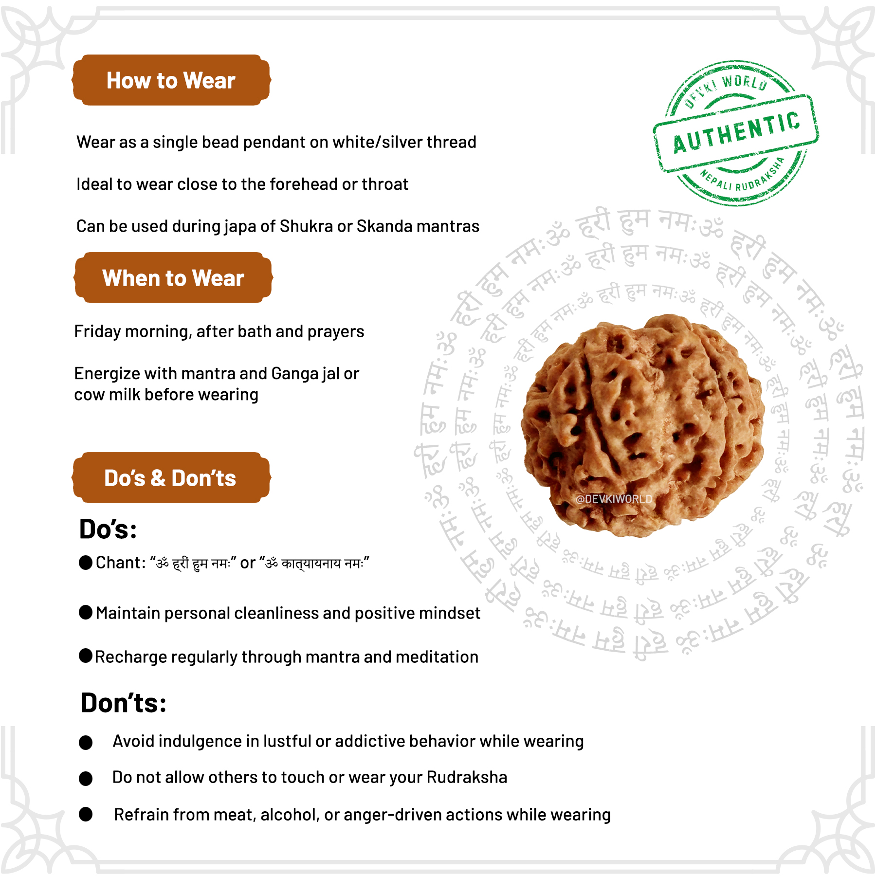 6 Mukhi Rudraksha