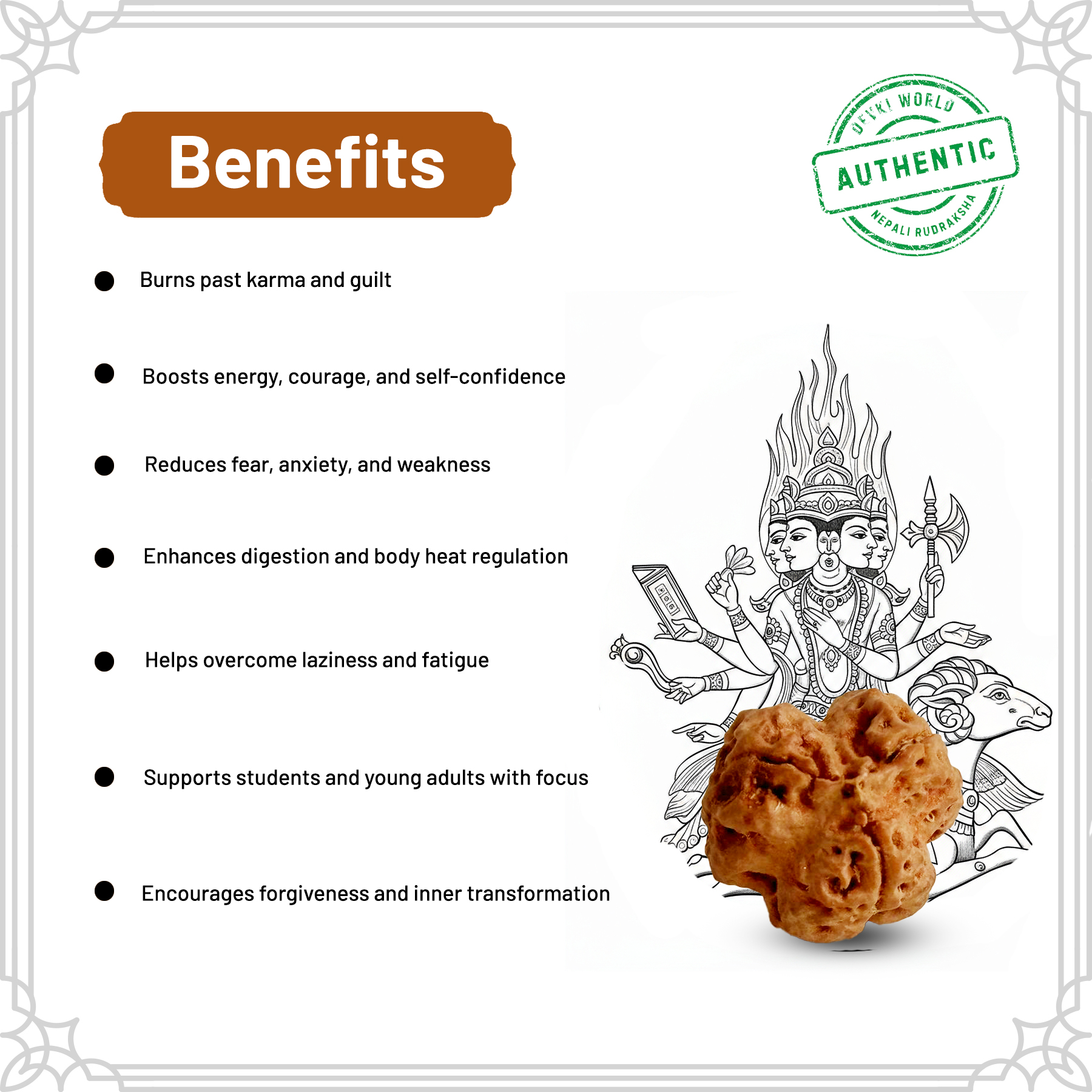 3 Mukhi Rudraksha