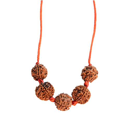 Rudraksha Combination